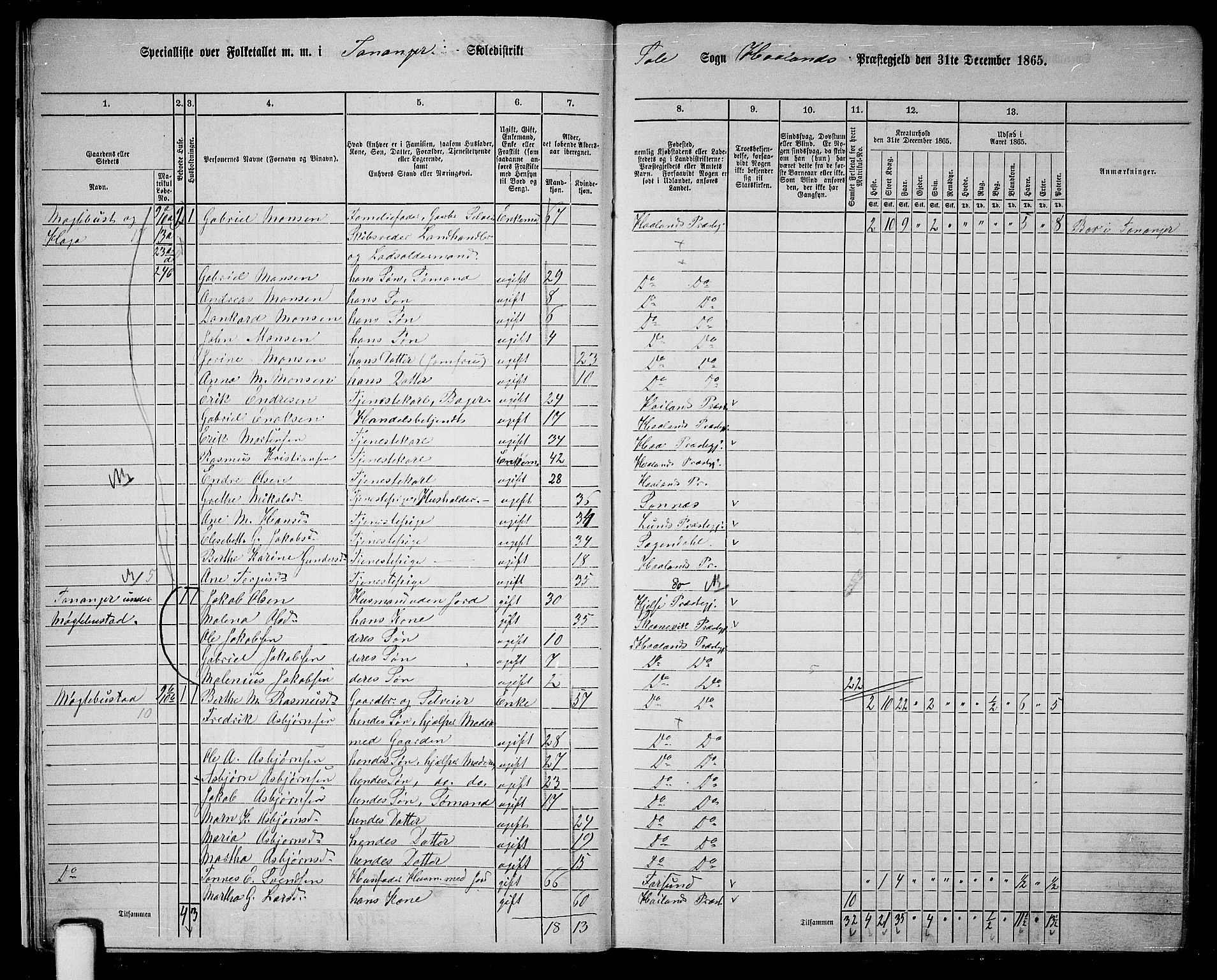 RA, 1865 census for Håland, 1865, p. 15