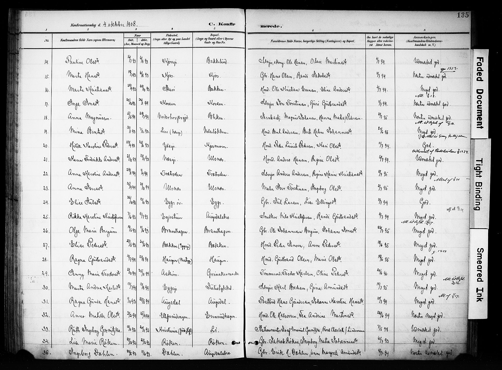 Brandbu prestekontor, AV/SAH-PREST-114/H/Ha/Haa/L0001: Parish register (official) no. 1, 1900-1912, p. 135