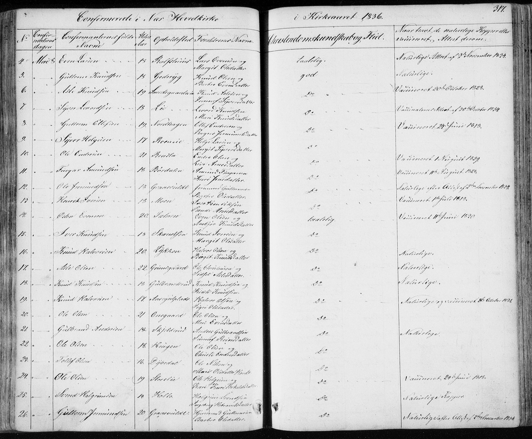 Nes kirkebøker, AV/SAKO-A-236/F/Fa/L0009: Parish register (official) no. 9, 1834-1863, p. 317