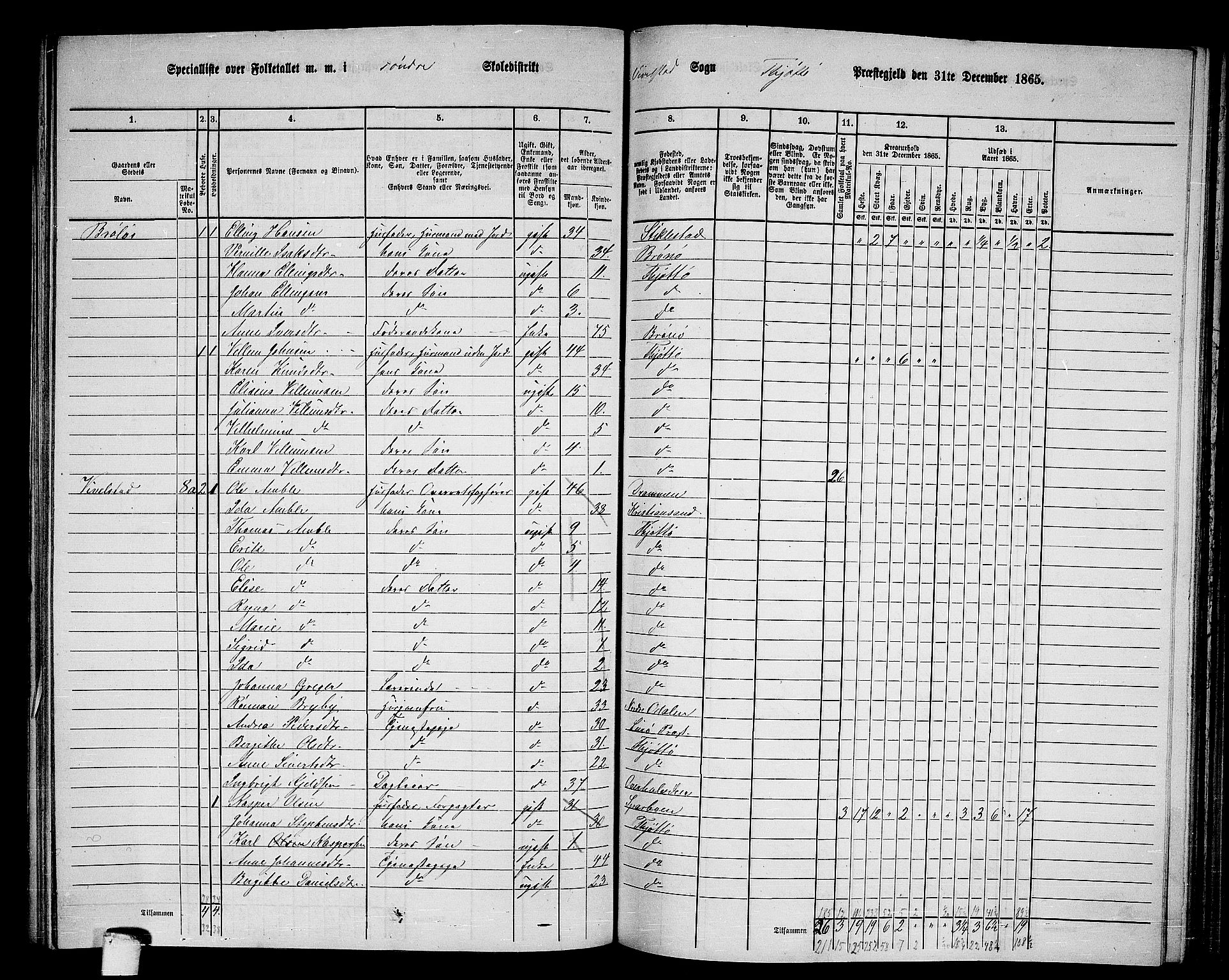 RA, 1865 census for Tjøtta, 1865, p. 97