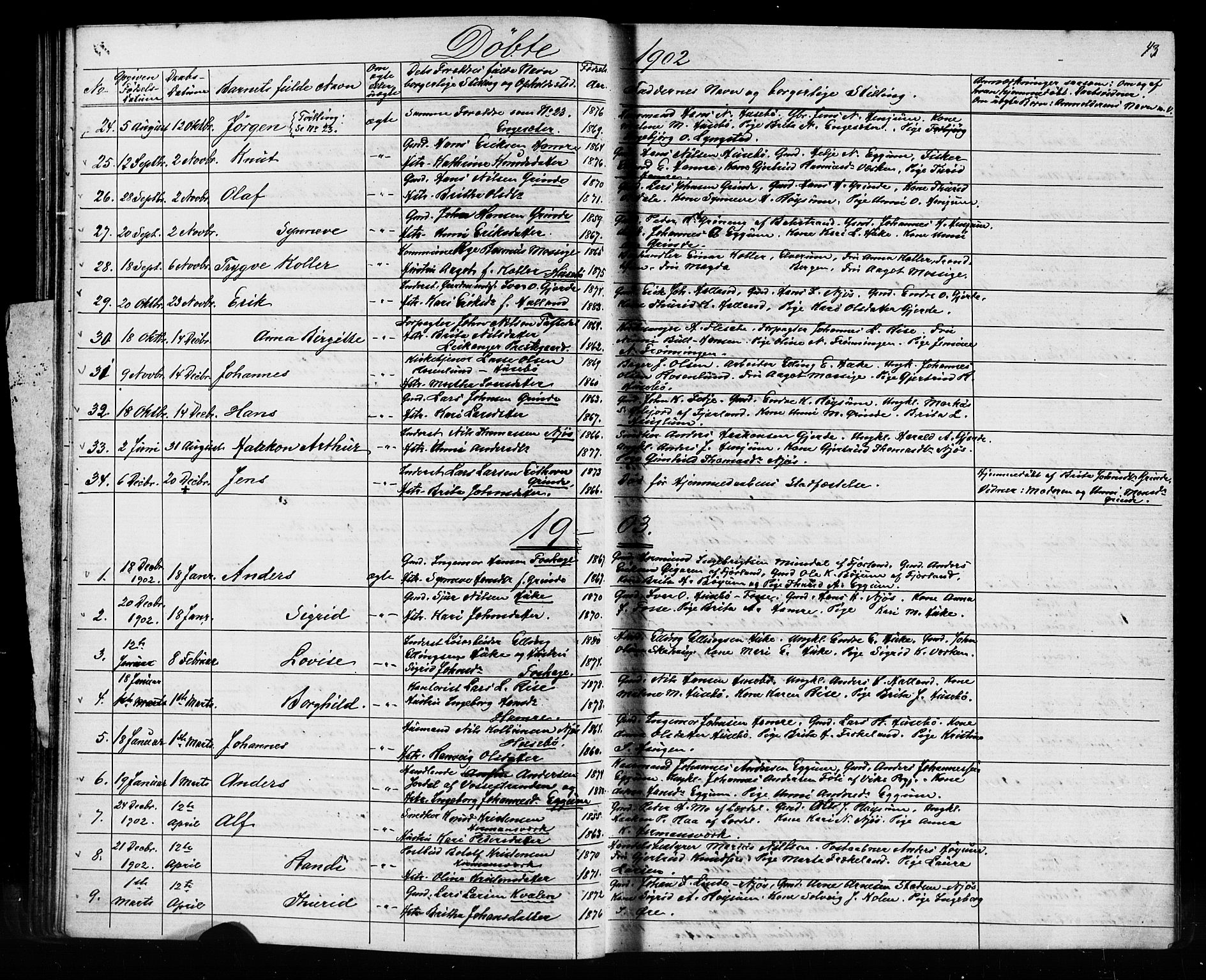 Leikanger sokneprestembete, AV/SAB-A-81001/H/Hab/Haba/L0001: Parish register (copy) no. A 1, 1873-1916, p. 43