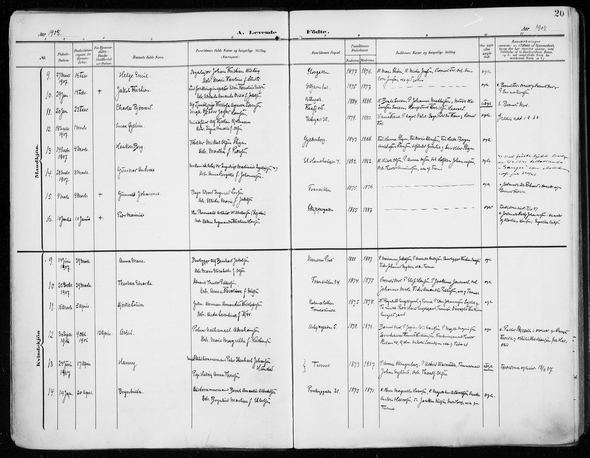 Tromsø sokneprestkontor/stiftsprosti/domprosti, AV/SATØ-S-1343/G/Ga/L0017kirke: Parish register (official) no. 17, 1907-1917, p. 20