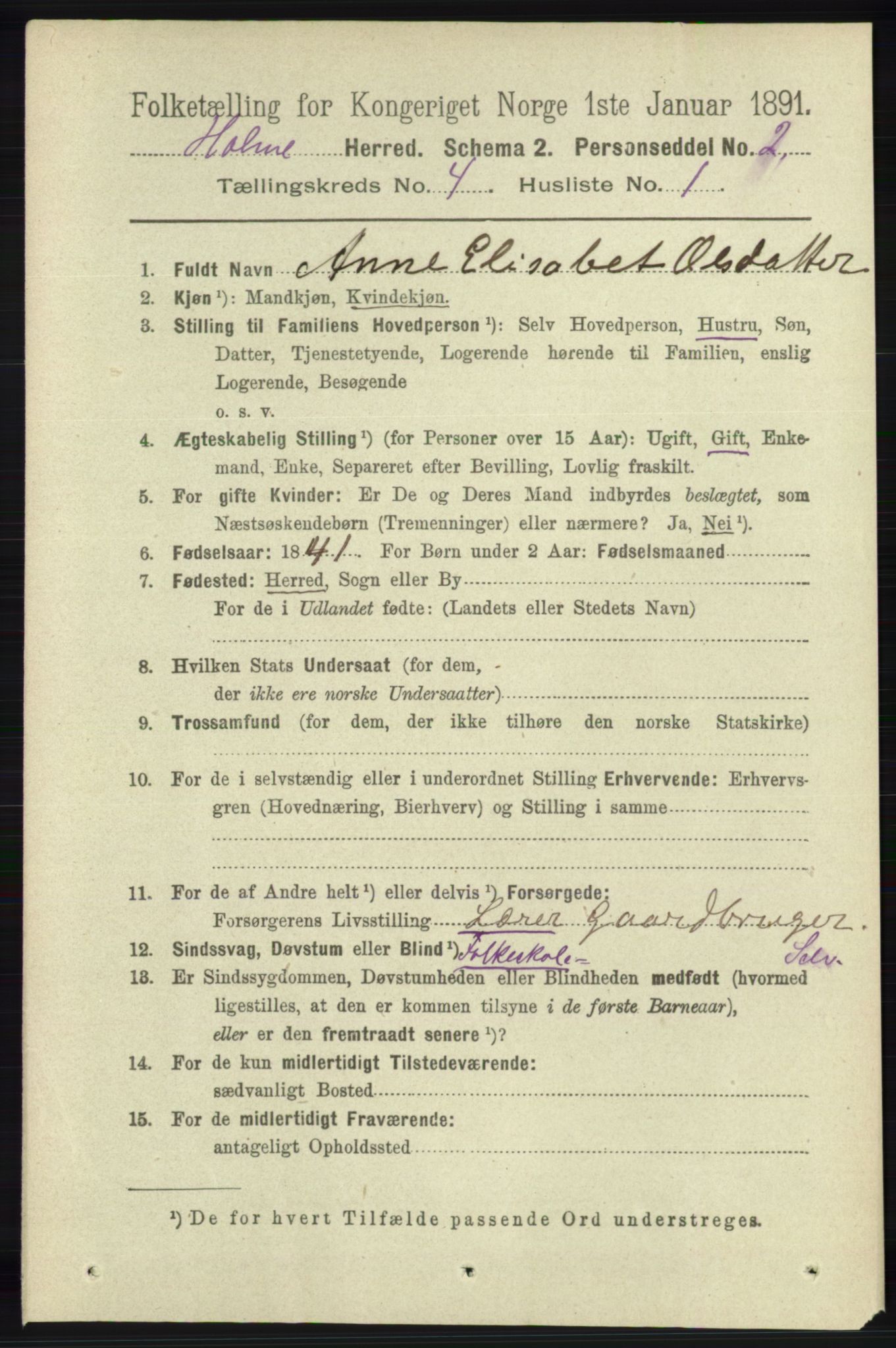 RA, 1891 census for 1020 Holum, 1891, p. 1035