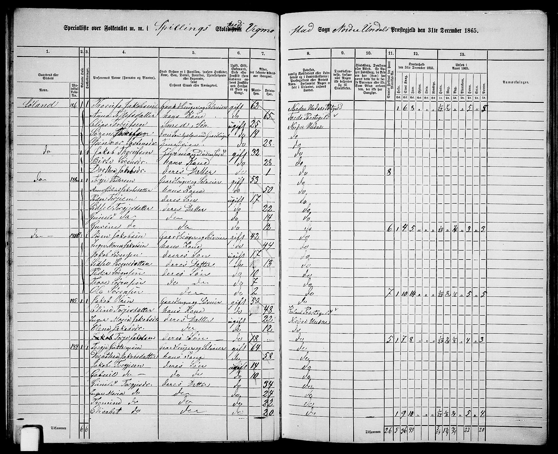 RA, 1865 census for Nord-Audnedal, 1865, p. 22