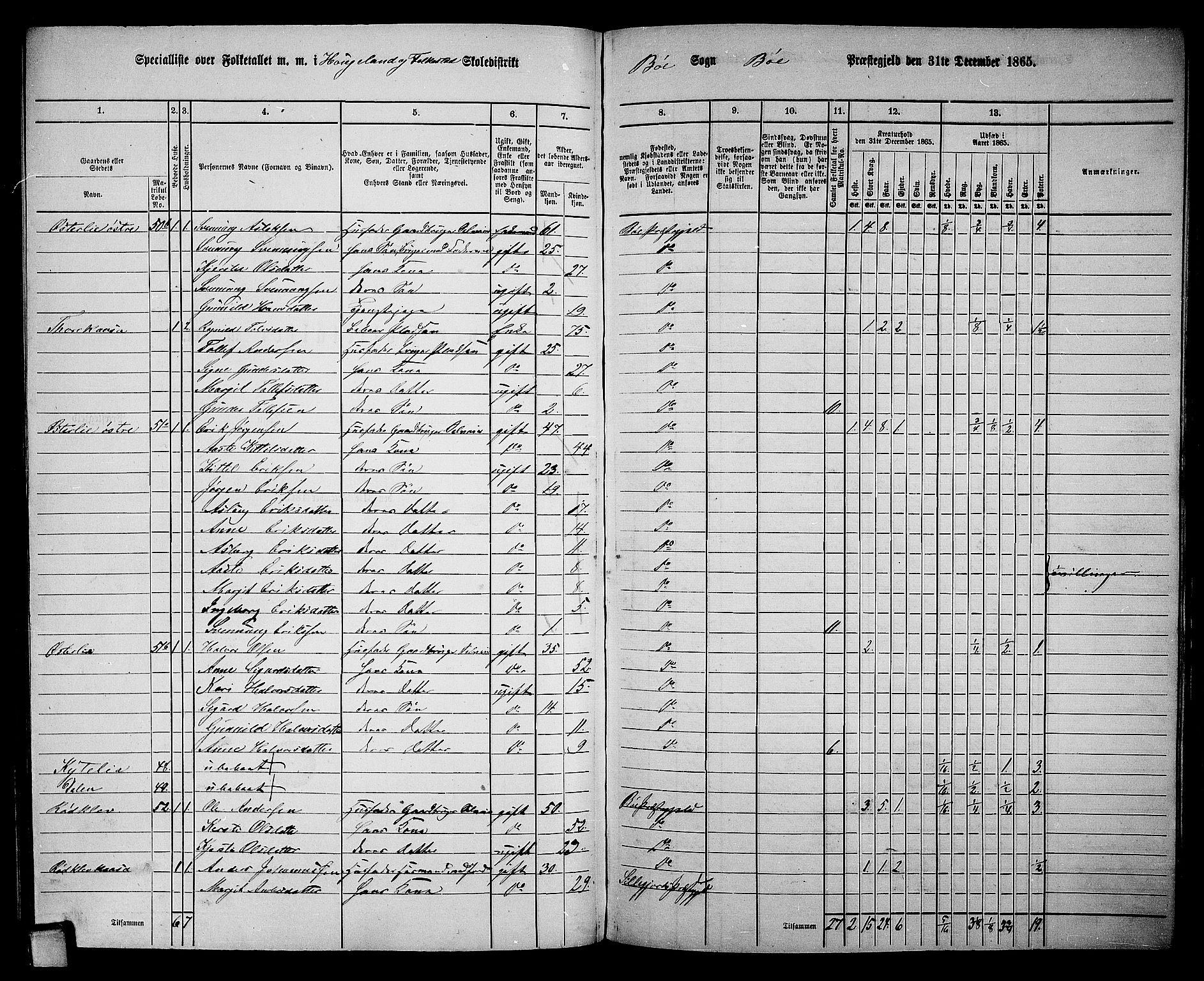 RA, 1865 census for Bø, 1865, p. 133