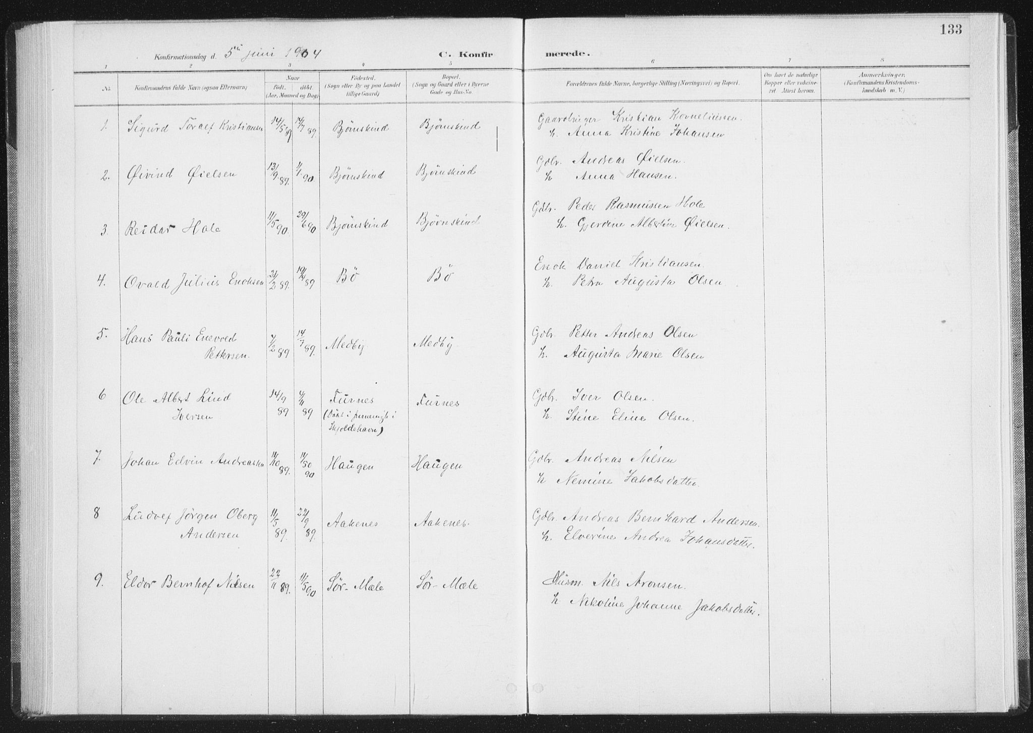 Ministerialprotokoller, klokkerbøker og fødselsregistre - Nordland, SAT/A-1459/898/L1422: Parish register (official) no. 898A02, 1887-1908, p. 133
