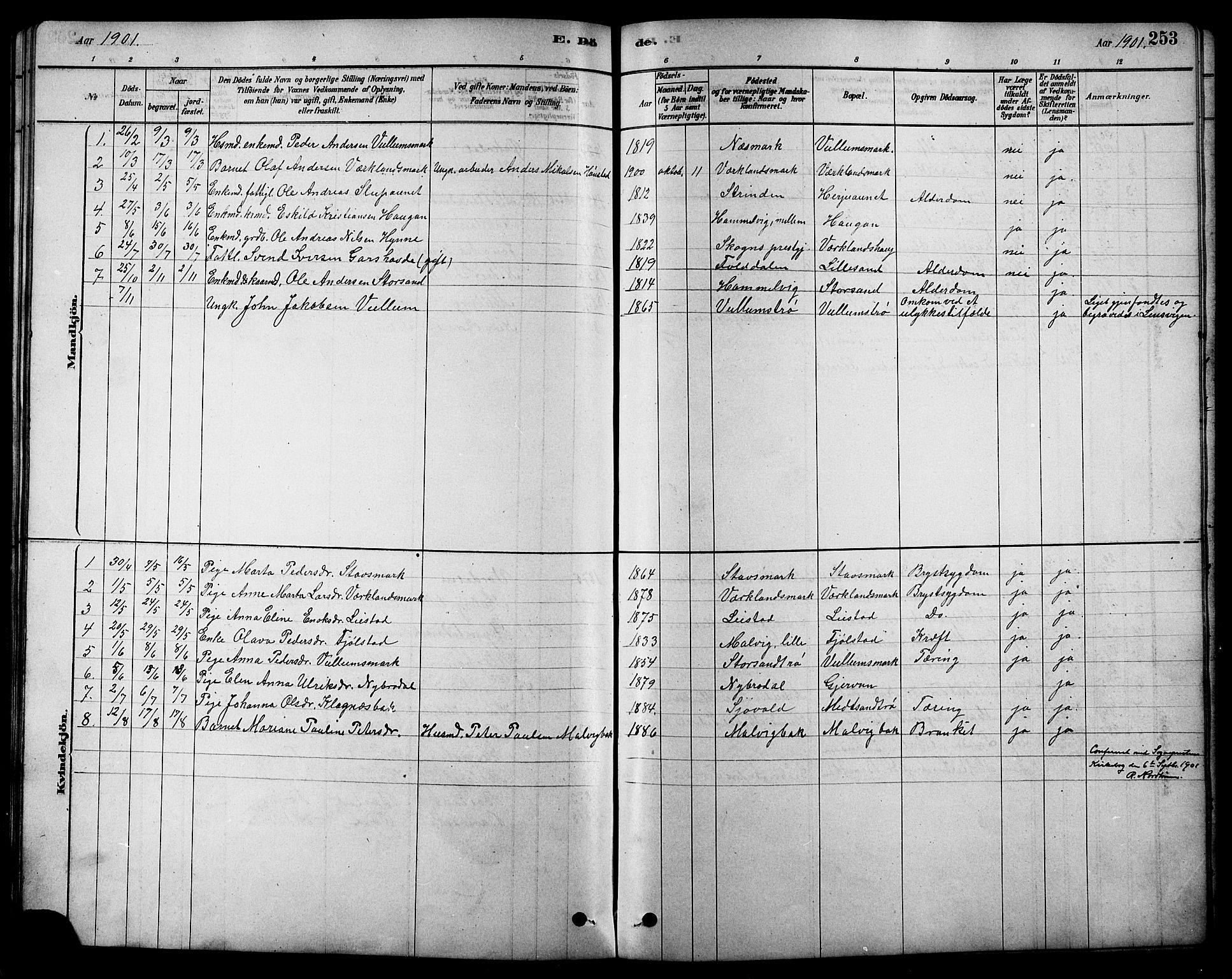 Ministerialprotokoller, klokkerbøker og fødselsregistre - Sør-Trøndelag, SAT/A-1456/616/L0423: Parish register (copy) no. 616C06, 1878-1903, p. 253