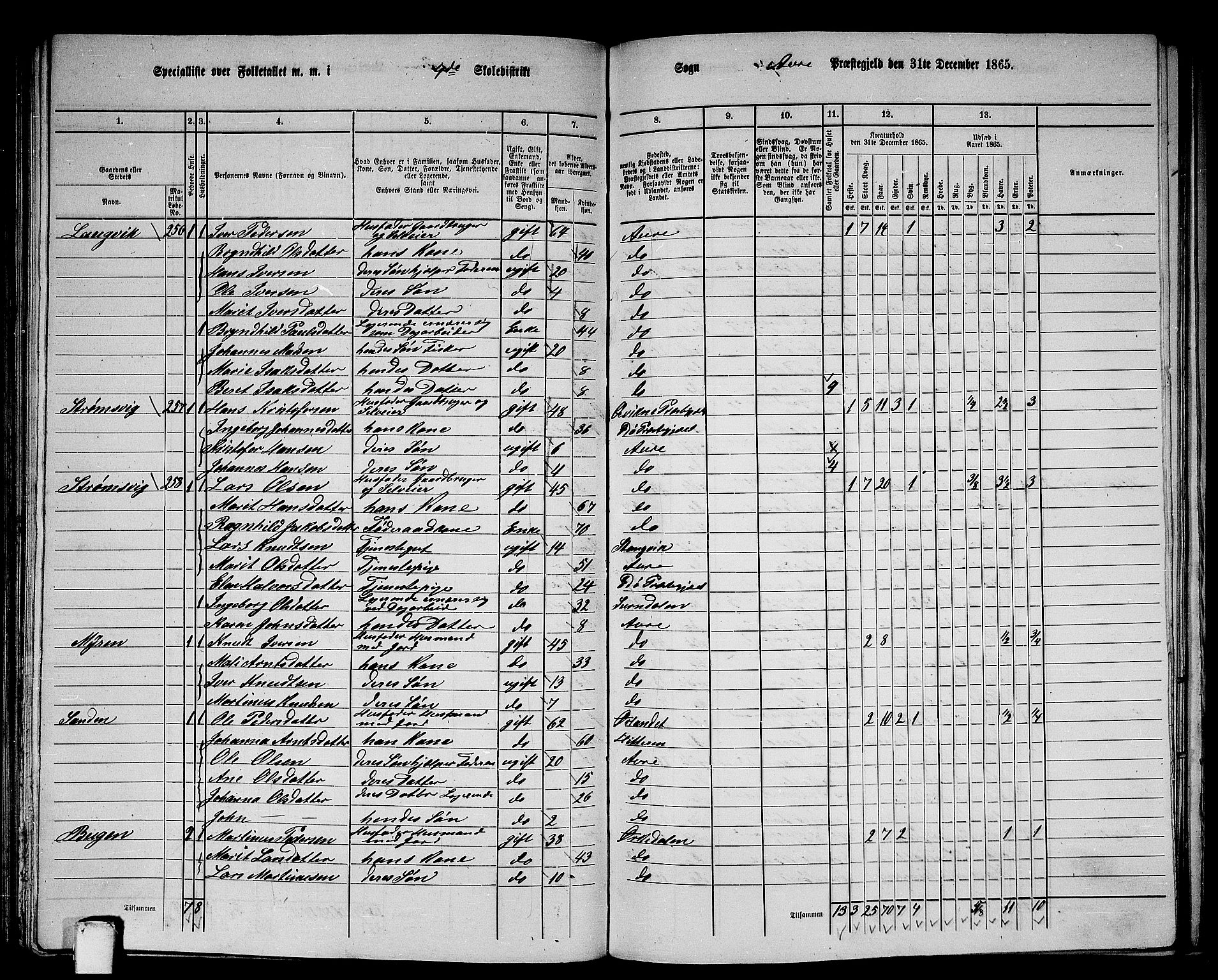 RA, 1865 census for Aure, 1865, p. 100