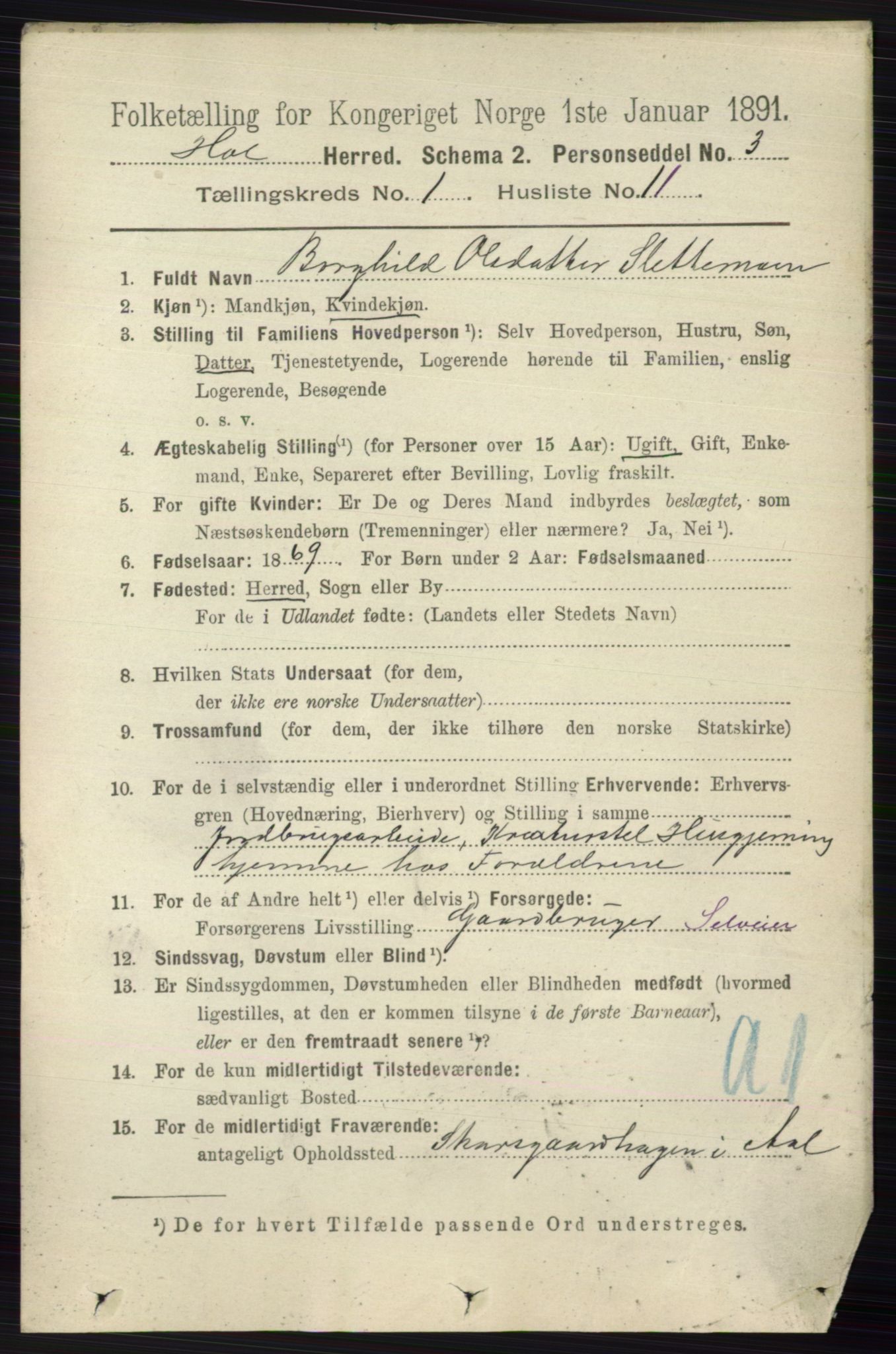 RA, 1891 census for 0620 Hol, 1891, p. 117