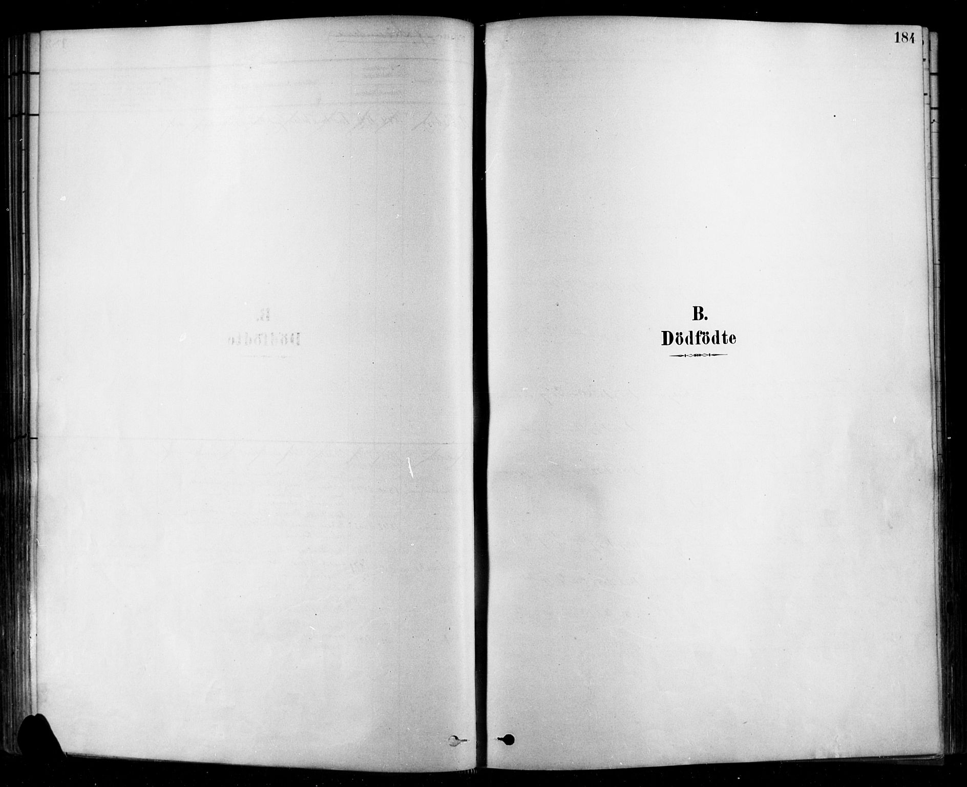 Rygge prestekontor Kirkebøker, SAO/A-10084b/F/Fa/L0007: Parish register (official) no. 7, 1878-1904, p. 184