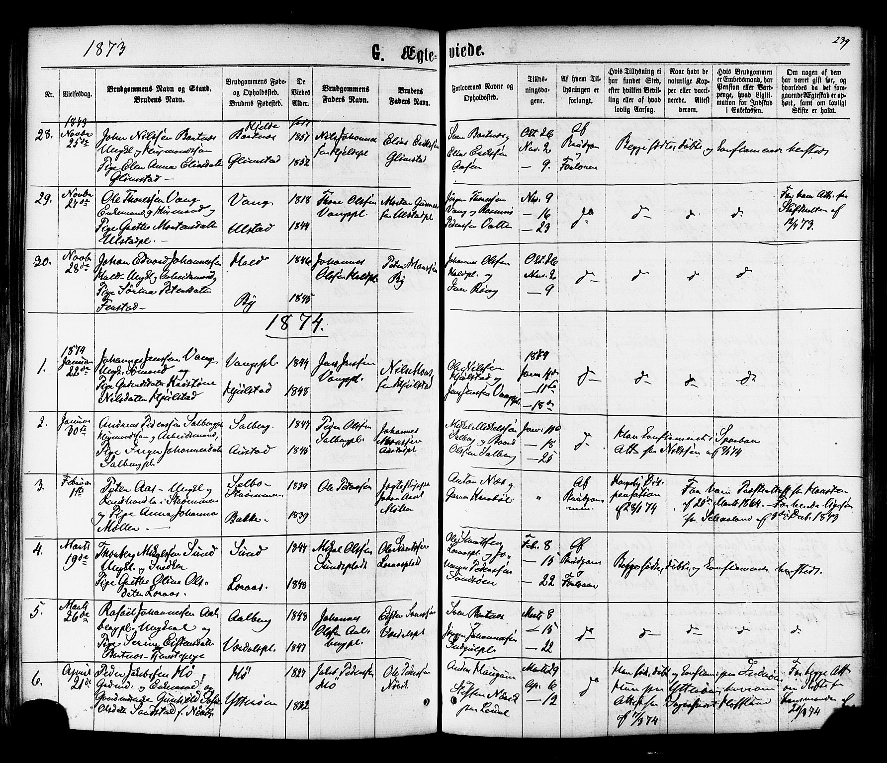 Ministerialprotokoller, klokkerbøker og fødselsregistre - Nord-Trøndelag, SAT/A-1458/730/L0284: Parish register (official) no. 730A09, 1866-1878, p. 239