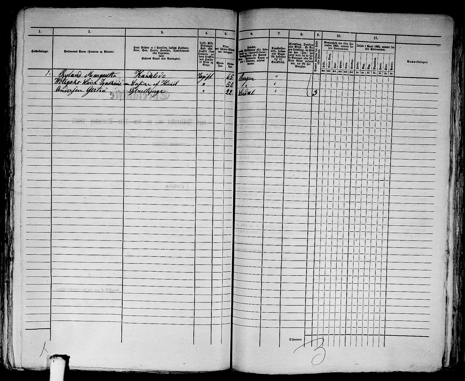 RA, 1865 census for Bergen, 1865, p. 3995