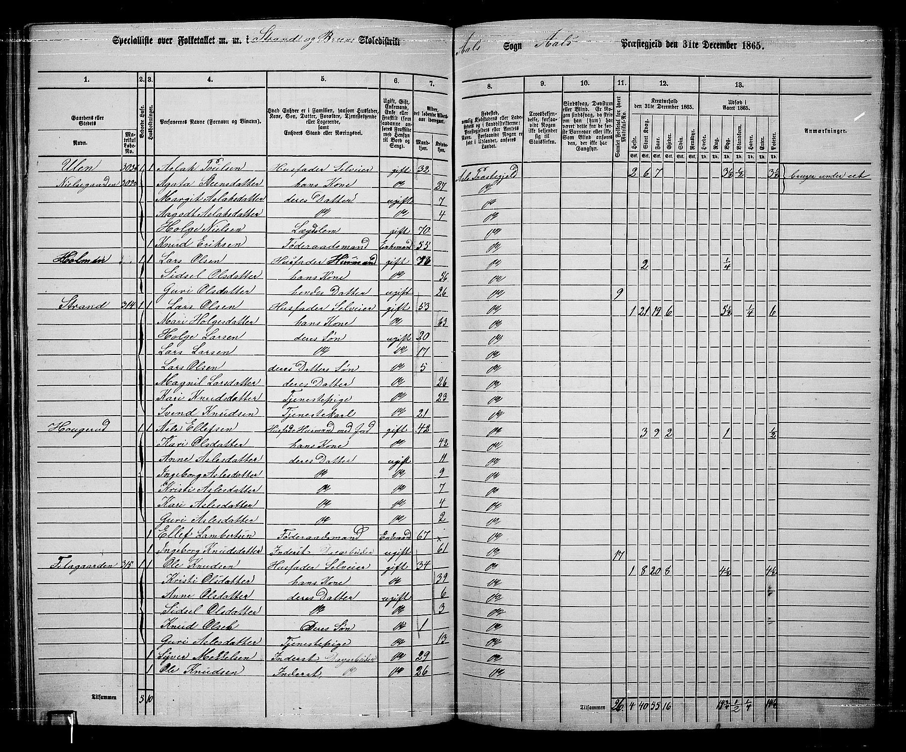 RA, 1865 census for Ål, 1865, p. 158