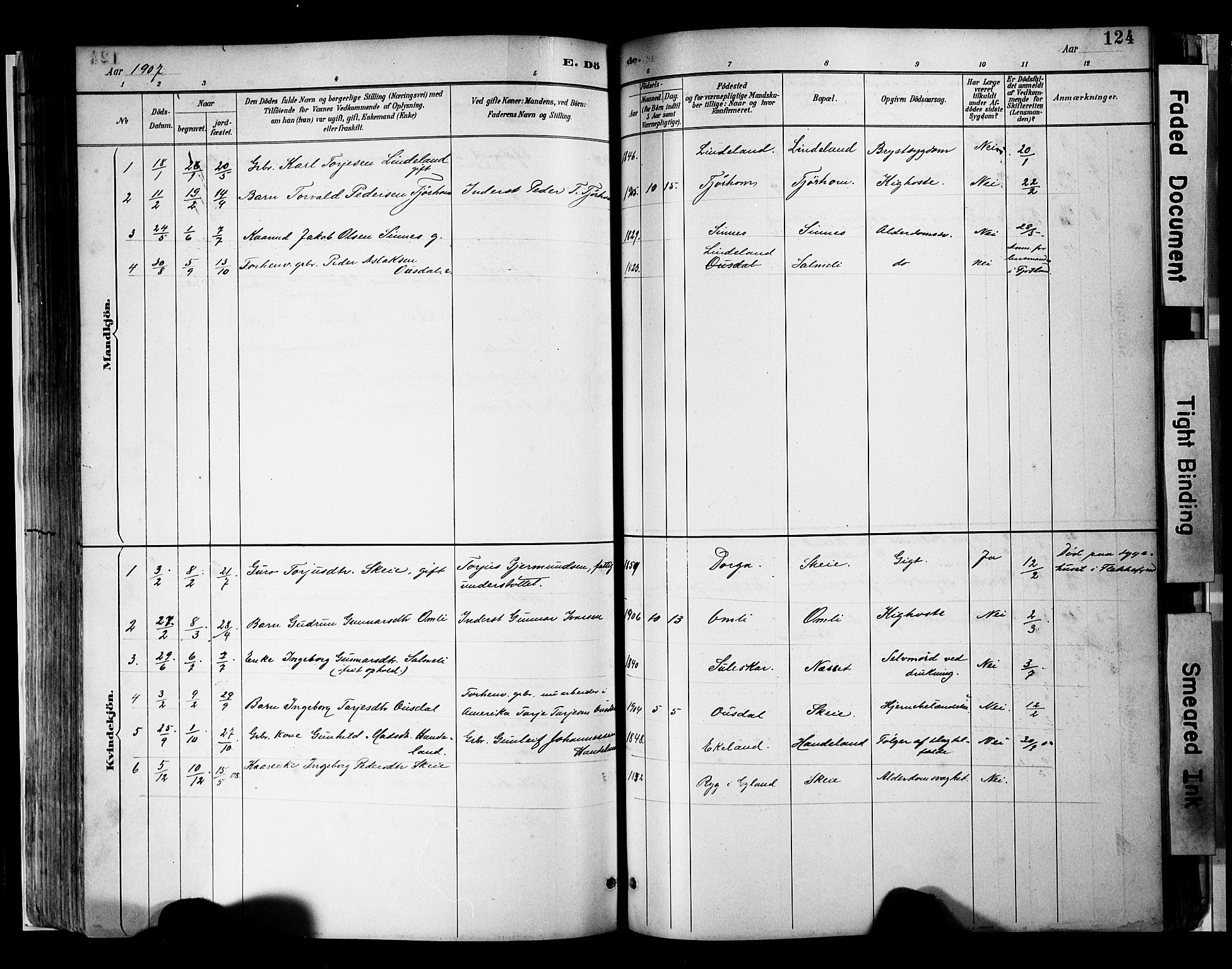 Sirdal sokneprestkontor, SAK/1111-0036/F/Fa/Faa/L0001: Parish register (official) no. A 1, 1887-1910, p. 124