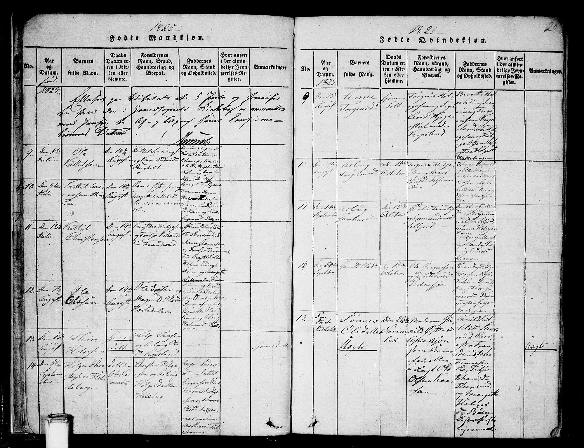 Gransherad kirkebøker, SAKO/A-267/F/Fa/L0001: Parish register (official) no. I 1, 1815-1843, p. 20