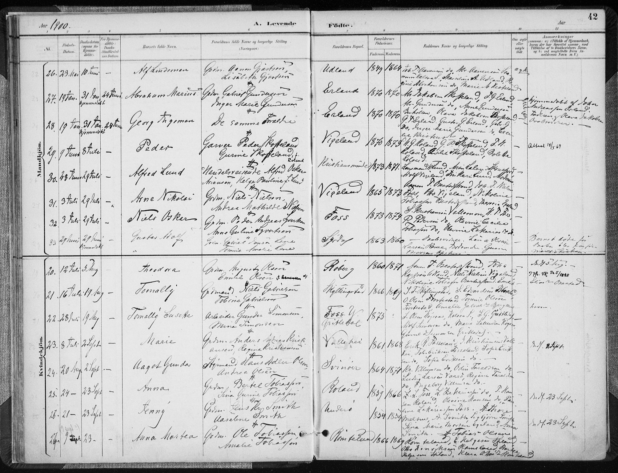 Sør-Audnedal sokneprestkontor, AV/SAK-1111-0039/F/Fa/Fab/L0010: Parish register (official) no. A 10, 1892-1913, p. 42