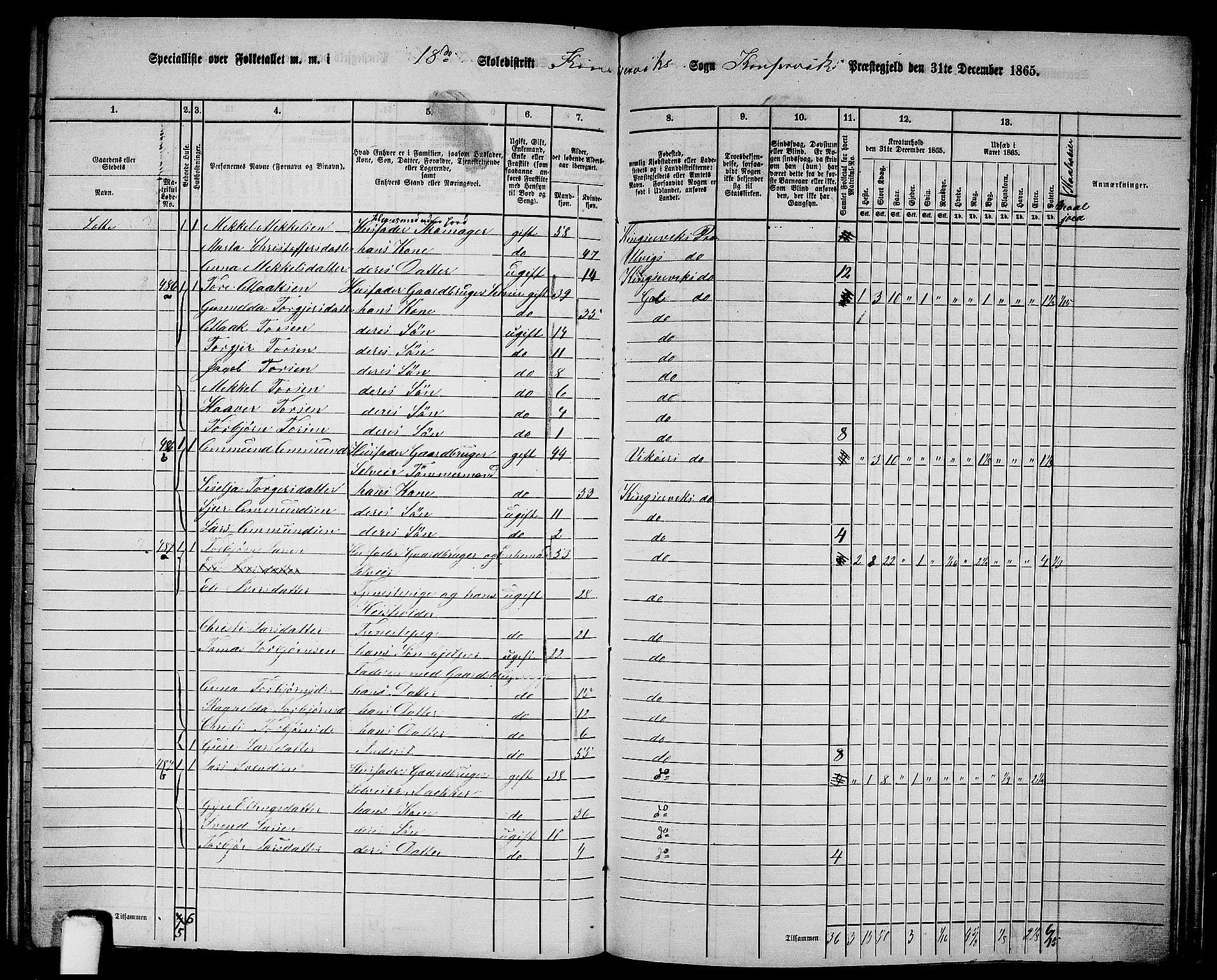 RA, 1865 census for Kinsarvik, 1865, p. 206