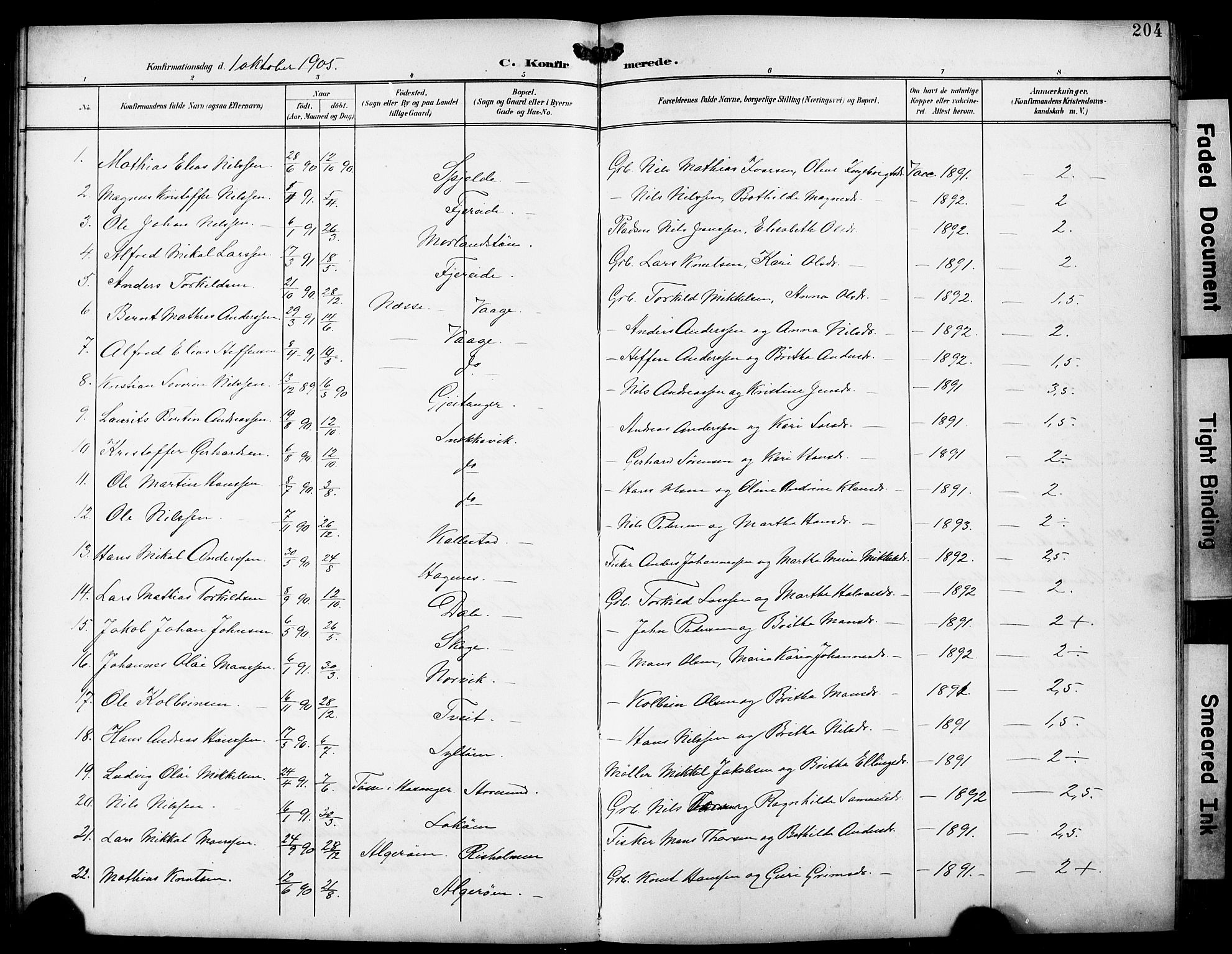 Fjell sokneprestembete, SAB/A-75301/H/Hab: Parish register (copy) no. A 5, 1899-1918, p. 204