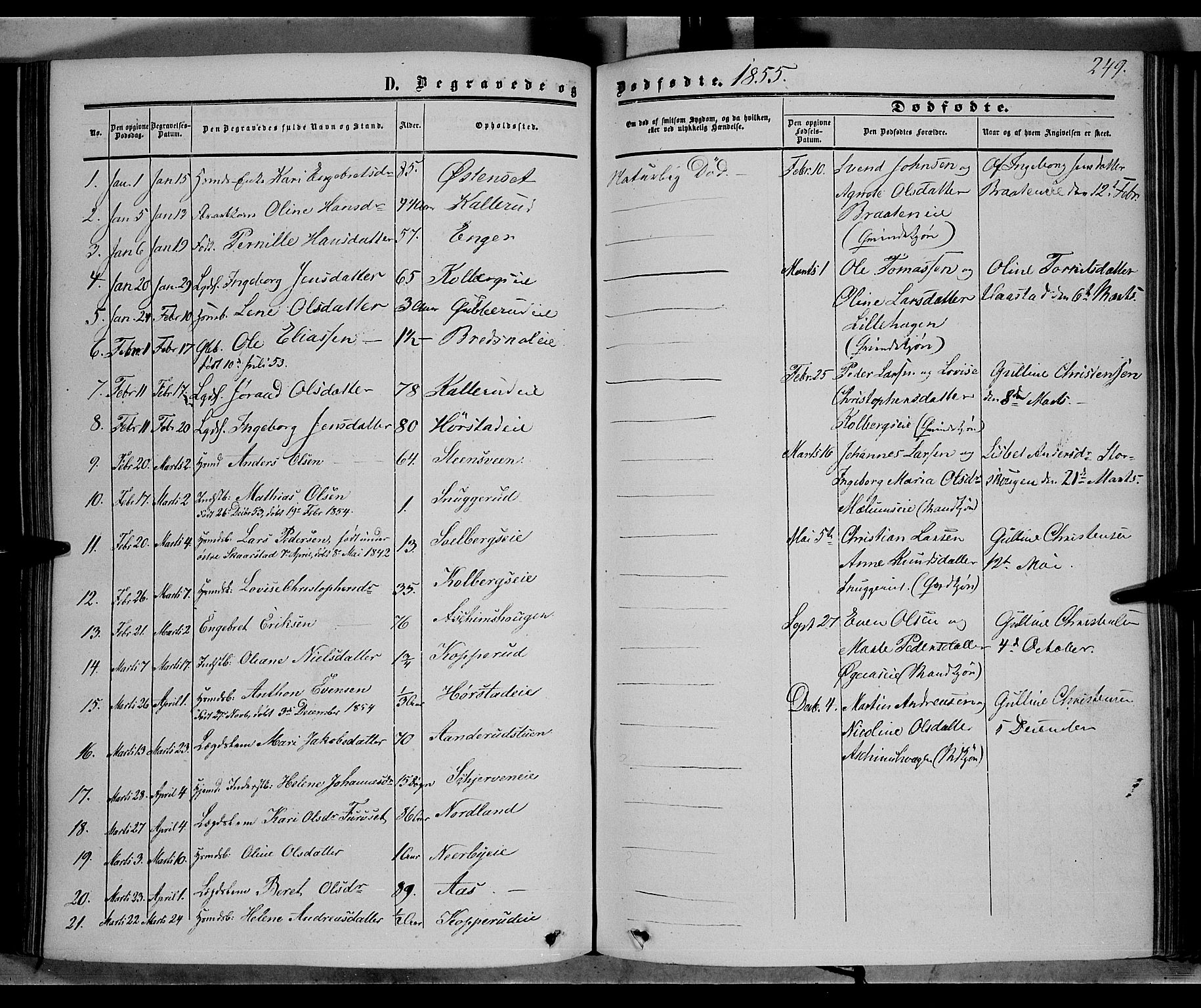 Vardal prestekontor, SAH/PREST-100/H/Ha/Haa/L0006: Parish register (official) no. 6, 1854-1866, p. 249