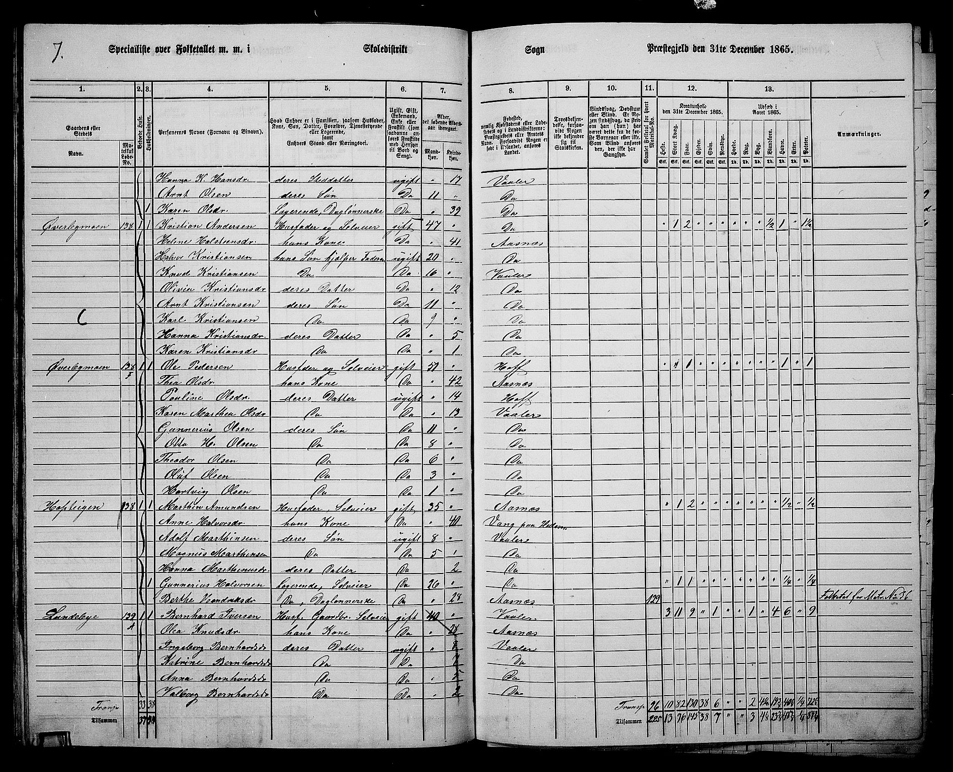 RA, 1865 census for Våler, 1865, p. 85