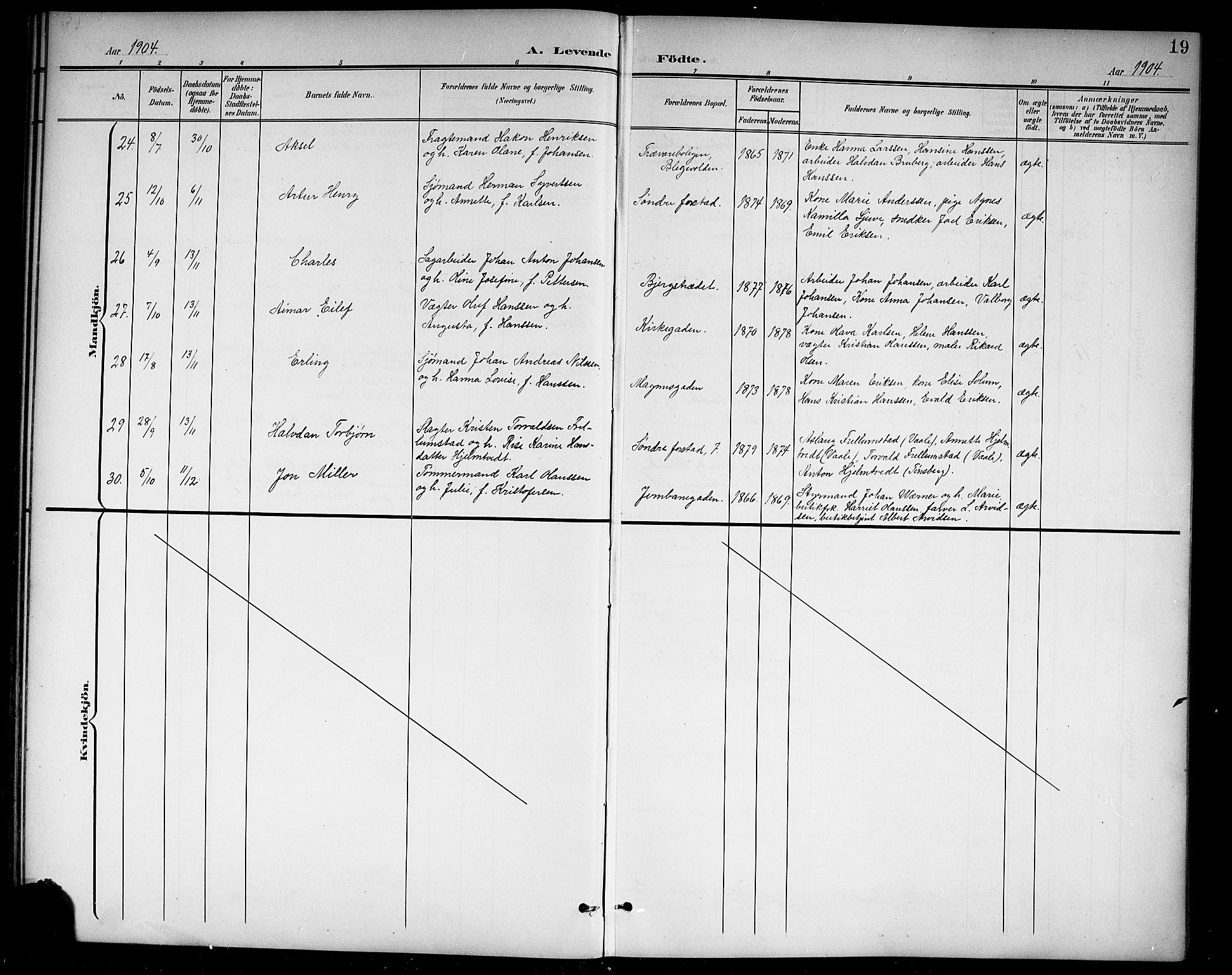 Holmestrand kirkebøker, AV/SAKO-A-346/G/Ga/L0006: Parish register (copy) no. 6, 1901-1923, p. 19