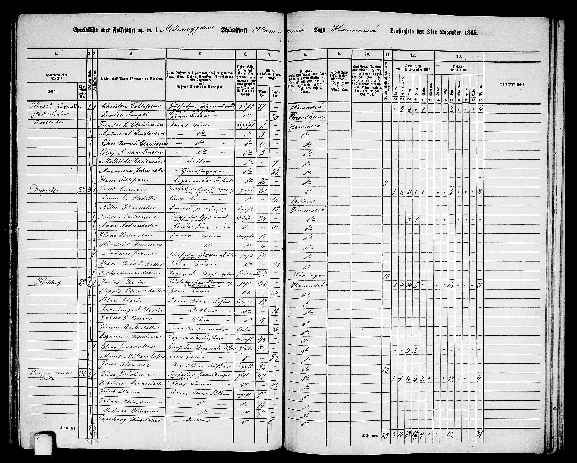 RA, 1865 census for Hamarøy, 1865, p. 32