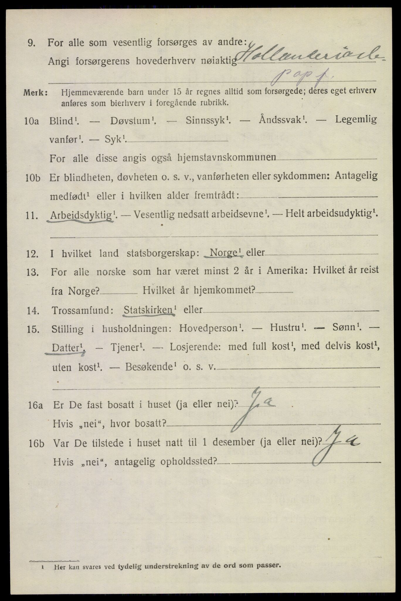 SAKO, 1920 census for Solum, 1920, p. 4219