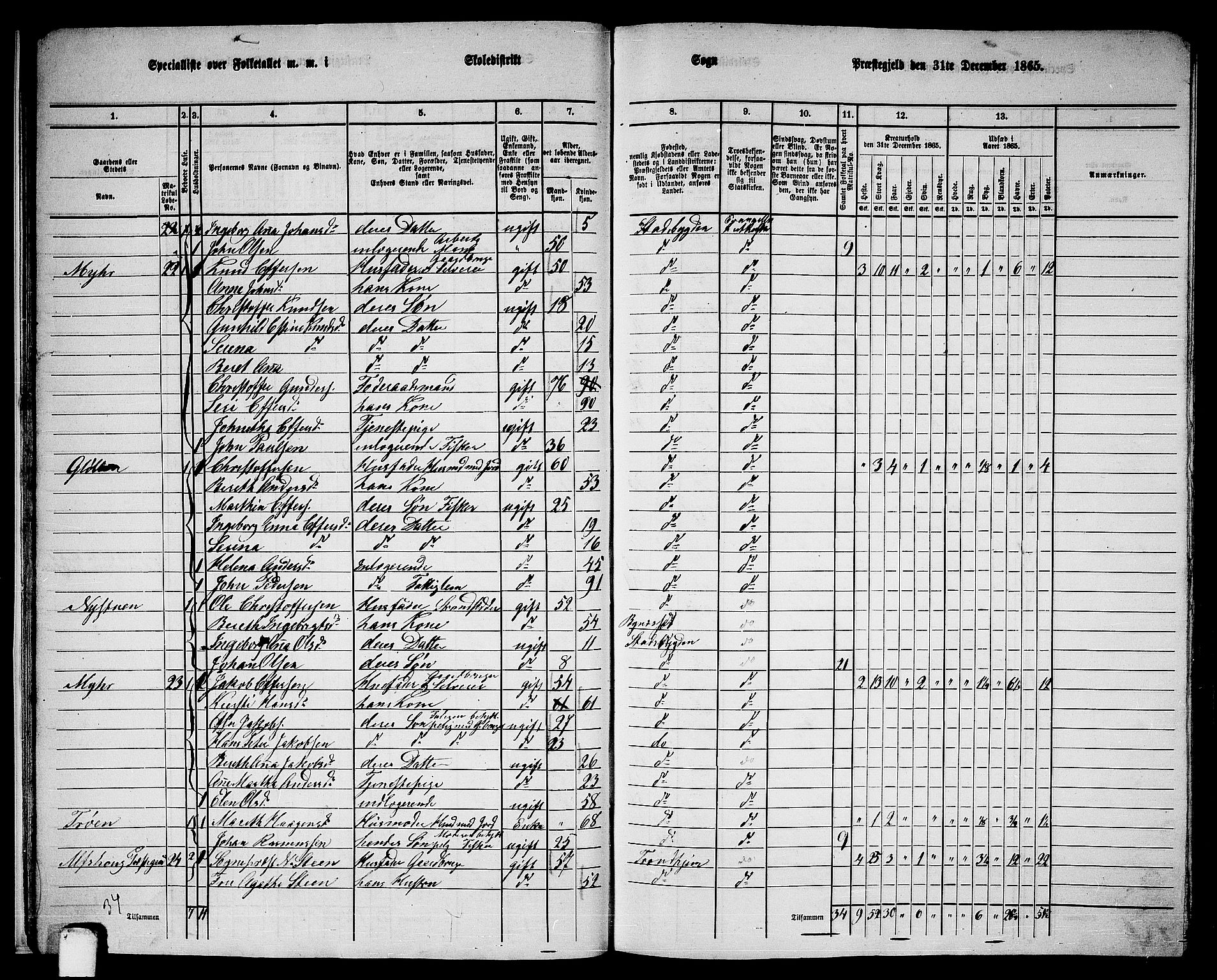 RA, 1865 census for Stadsbygd, 1865, p. 20