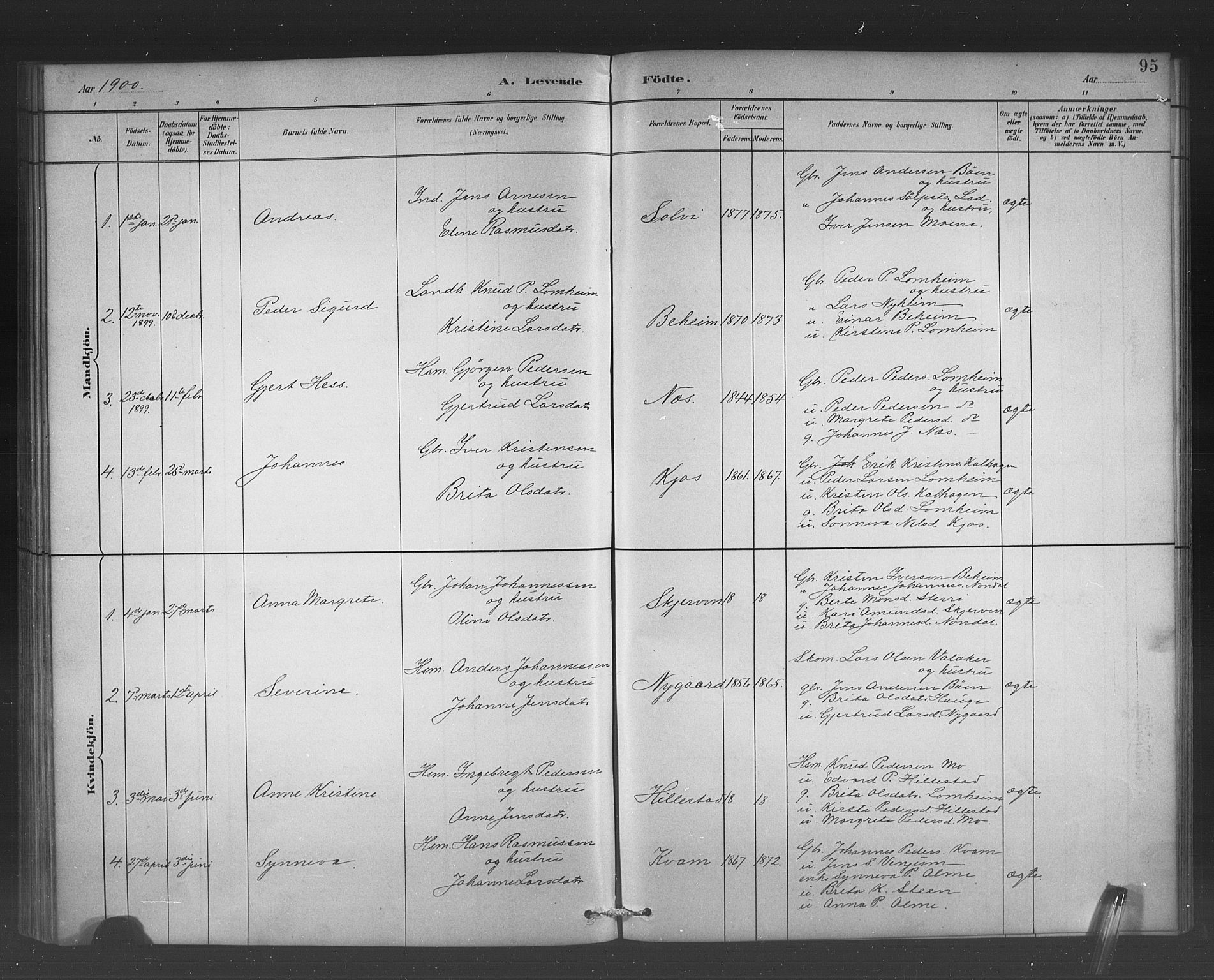 Hafslo sokneprestembete, AV/SAB-A-80301/H/Hab/Habb/L0001: Parish register (copy) no. B 1, 1882-1908, p. 95