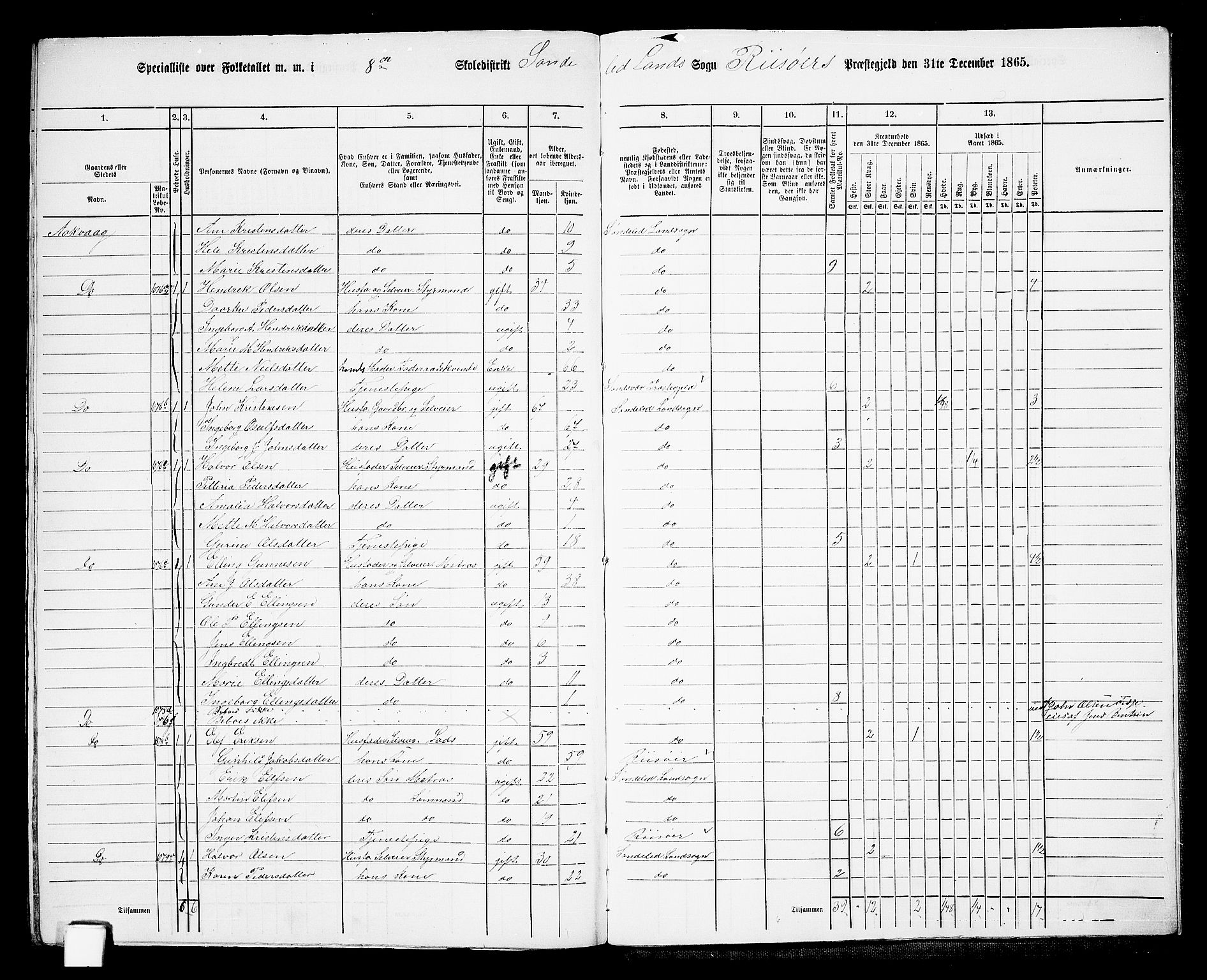 RA, 1865 census for Risør/Søndeled, 1865, p. 147