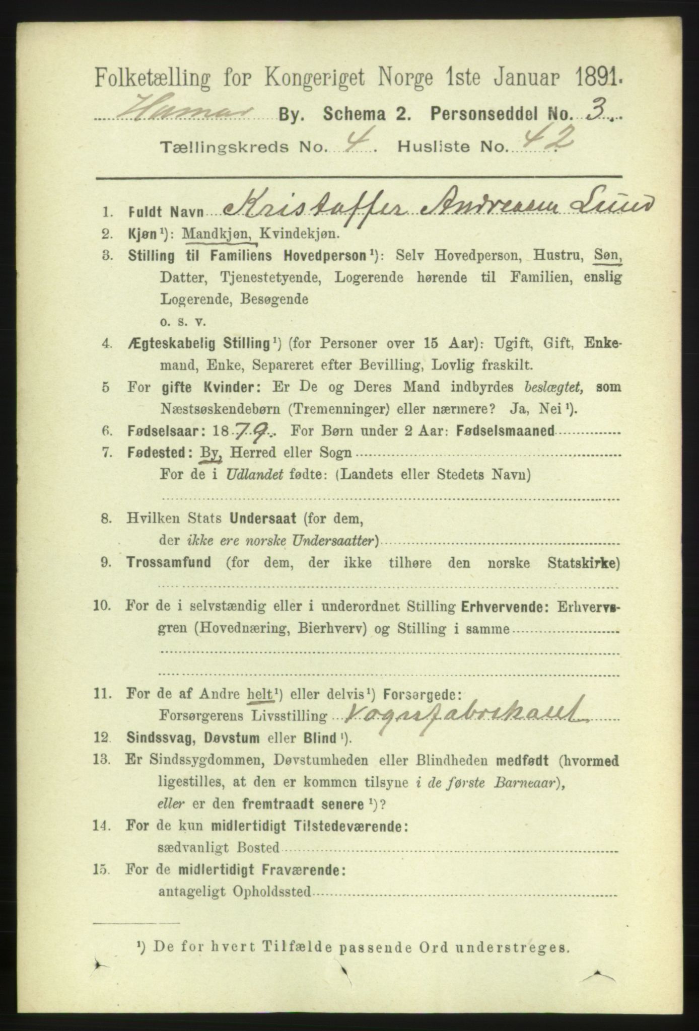 RA, 1891 census for 0401 Hamar, 1891, p. 3595