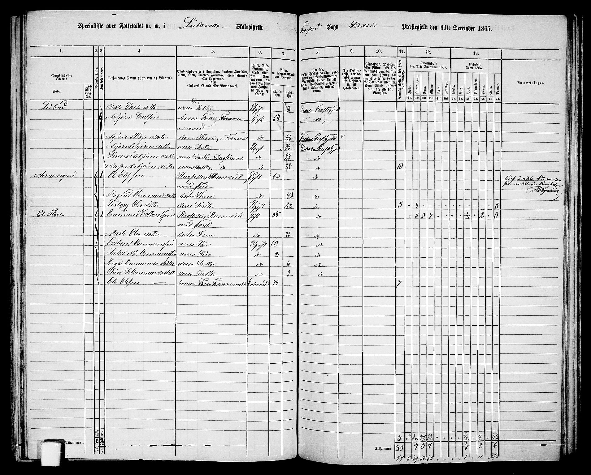 RA, 1865 census for Sirdal, 1865, p. 49