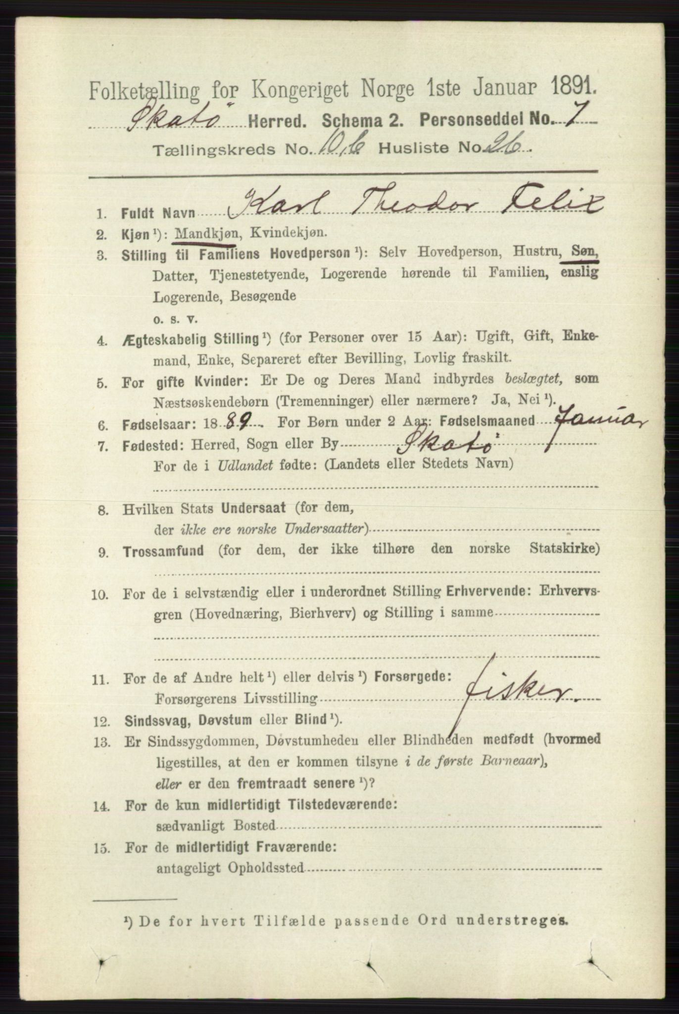 RA, 1891 census for 0815 Skåtøy, 1891, p. 4199