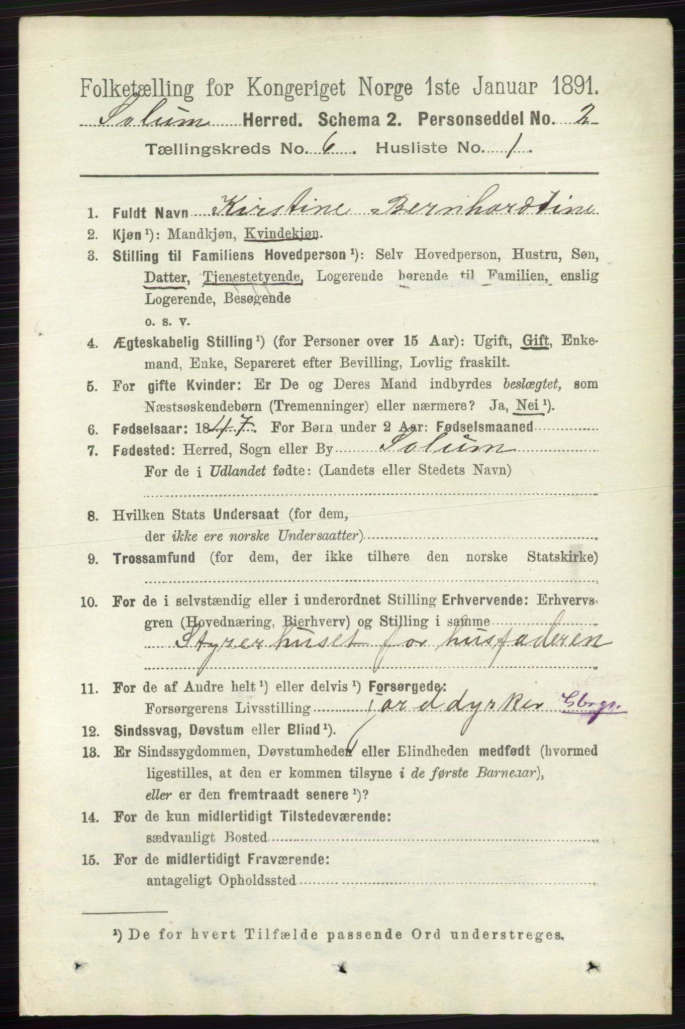 RA, 1891 census for 0818 Solum, 1891, p. 1188