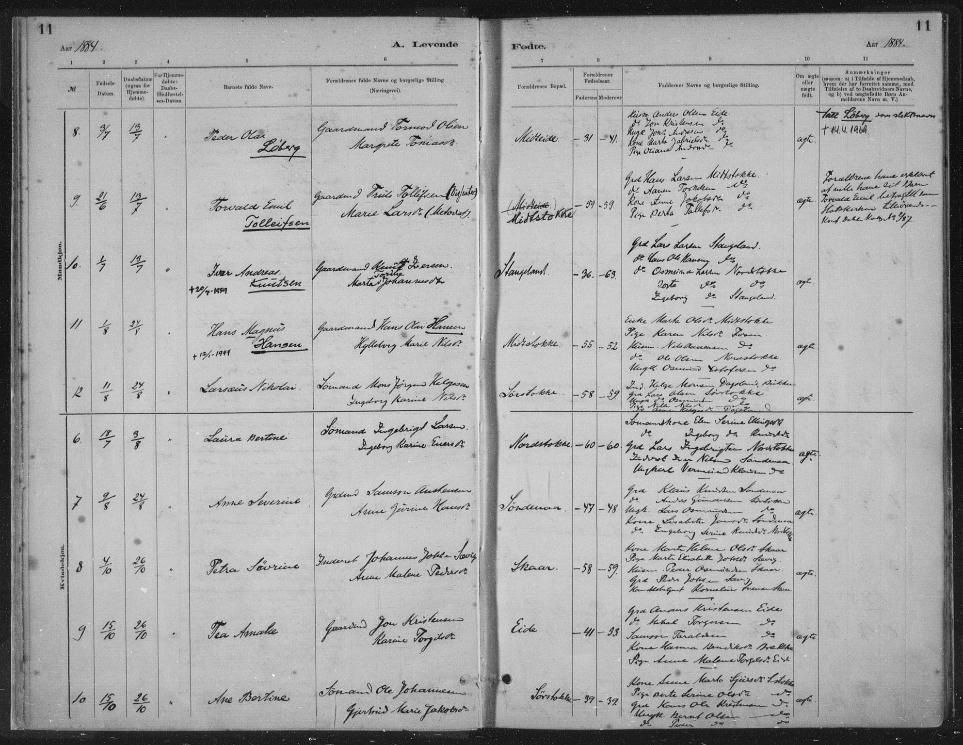 Kopervik sokneprestkontor, AV/SAST-A-101850/H/Ha/Haa/L0002: Parish register (official) no. A 2, 1880-1912, p. 11
