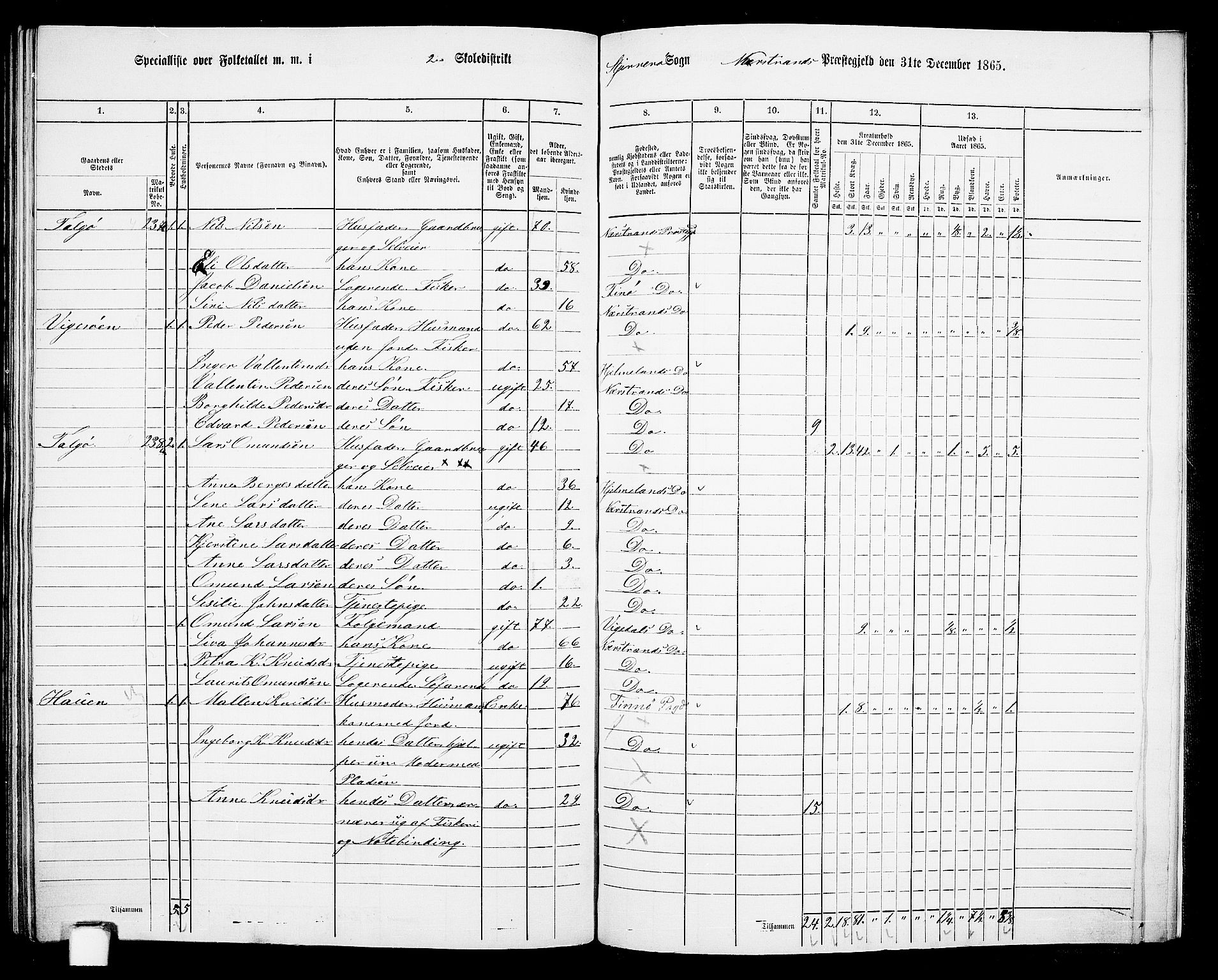 RA, 1865 census for Nedstrand, 1865, p. 103