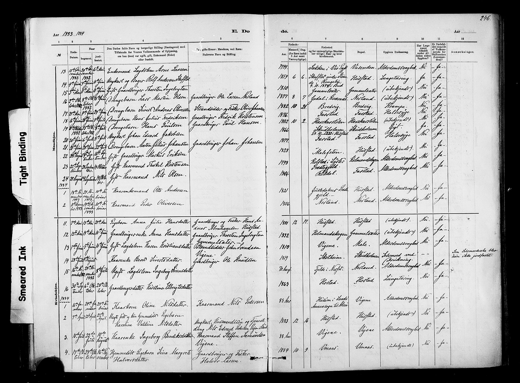 Ministerialprotokoller, klokkerbøker og fødselsregistre - Møre og Romsdal, AV/SAT-A-1454/567/L0778: Parish register (official) no. 567A01, 1881-1903, p. 246