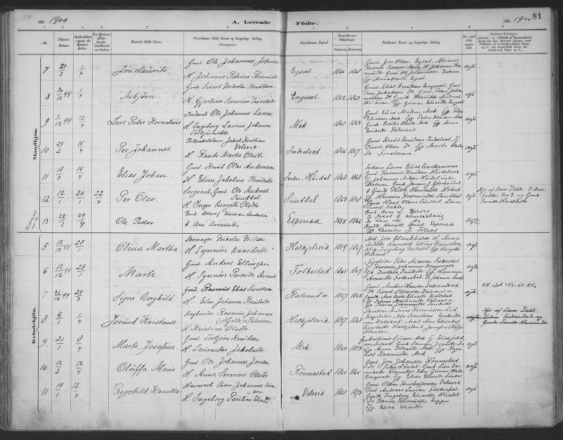 Ministerialprotokoller, klokkerbøker og fødselsregistre - Møre og Romsdal, AV/SAT-A-1454/511/L0142: Parish register (official) no. 511A09, 1891-1905, p. 81