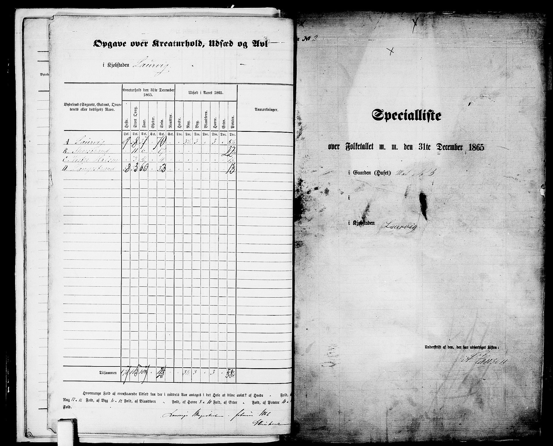 RA, 1865 census for Larvik, 1865, p. 12