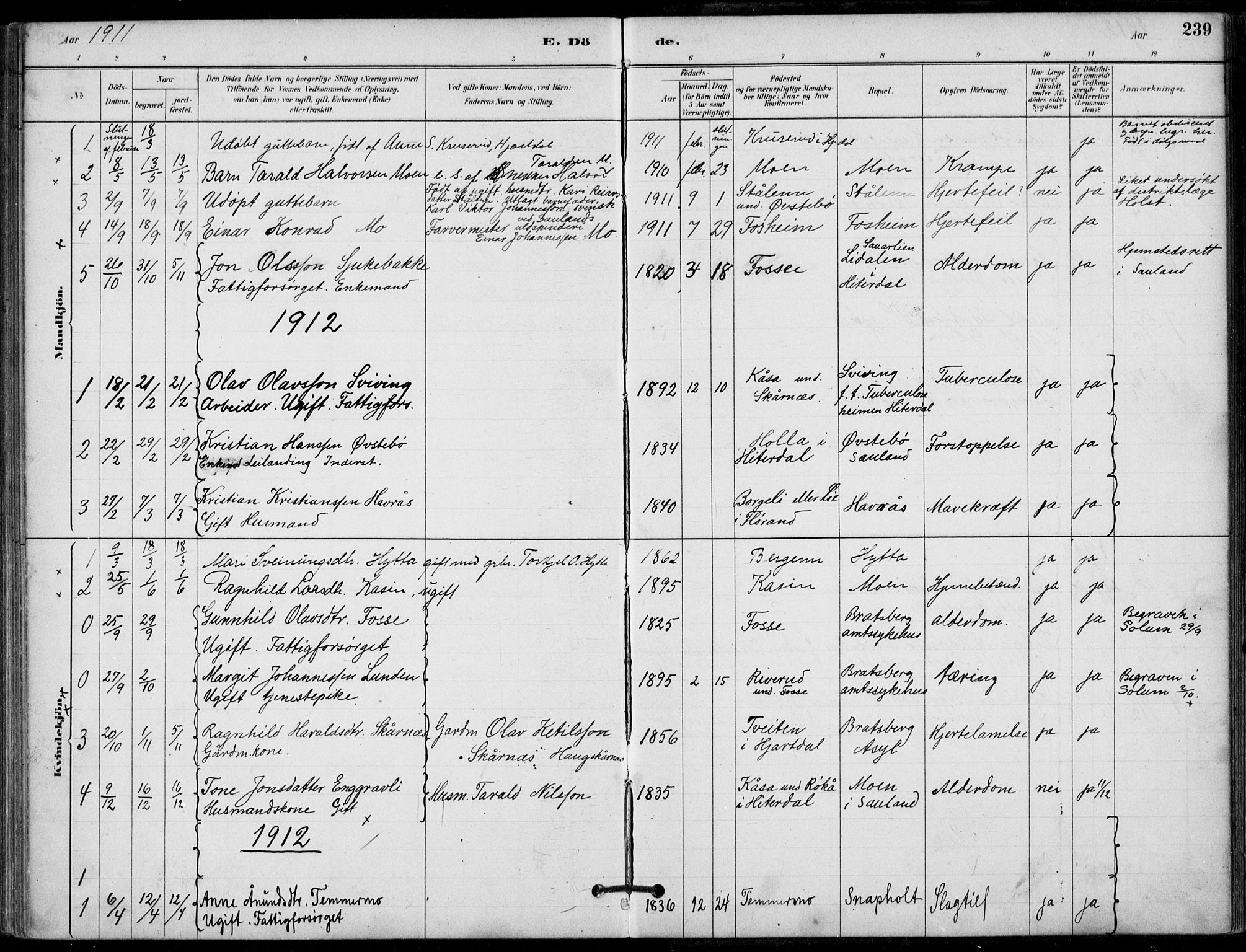 Hjartdal kirkebøker, AV/SAKO-A-270/F/Fb/L0002: Parish register (official) no. II 2, 1880-1932, p. 239