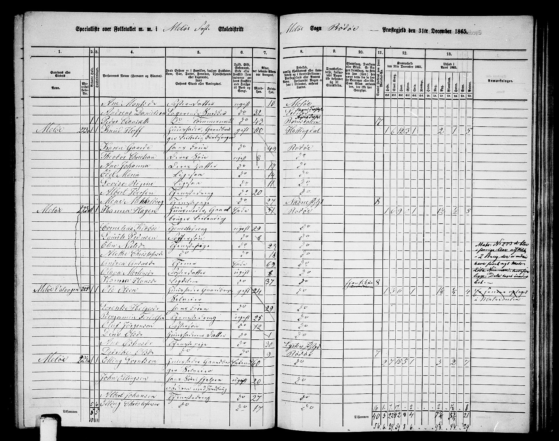 RA, 1865 census for Rødøy, 1865, p. 87