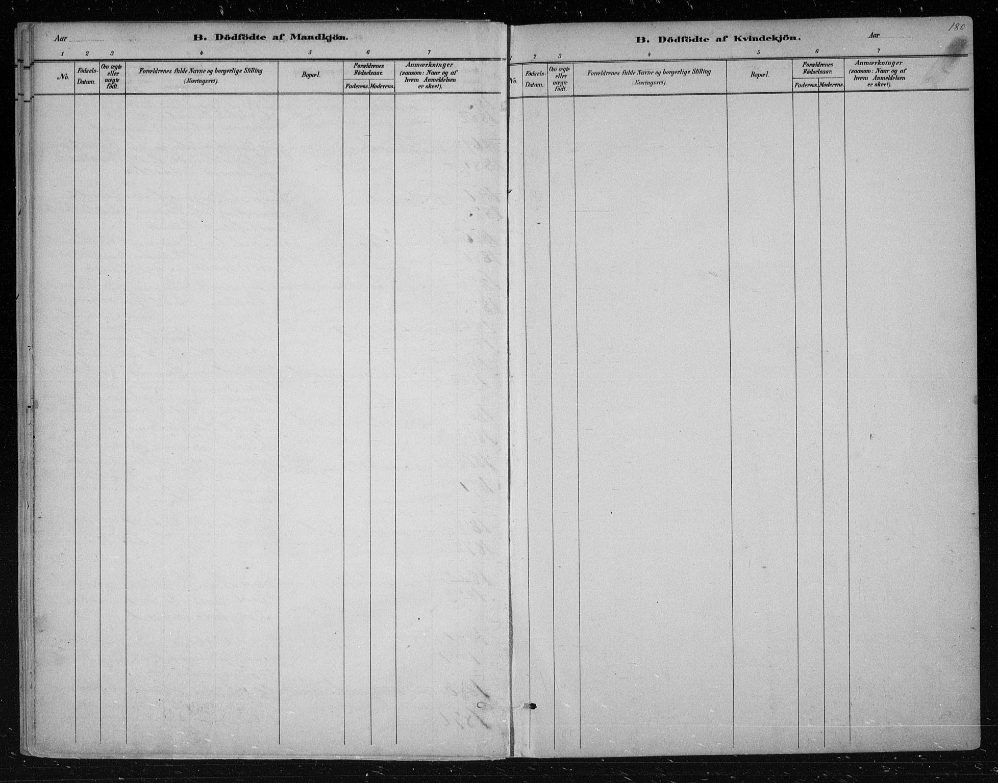 Nes kirkebøker, AV/SAKO-A-236/F/Fa/L0011: Parish register (official) no. 11, 1881-1912, p. 180