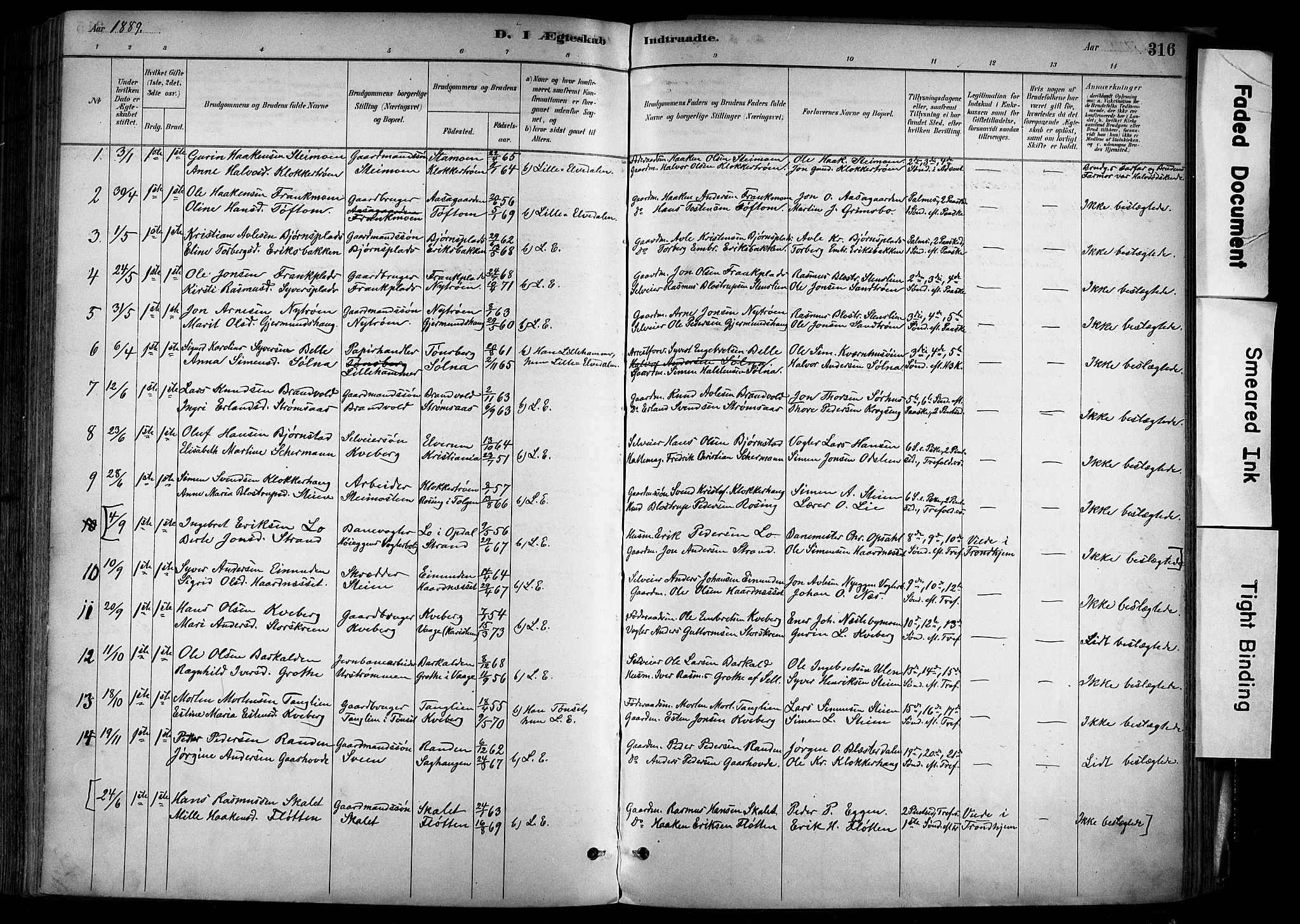 Alvdal prestekontor, SAH/PREST-060/H/Ha/Haa/L0002: Parish register (official) no. 2, 1883-1906, p. 316