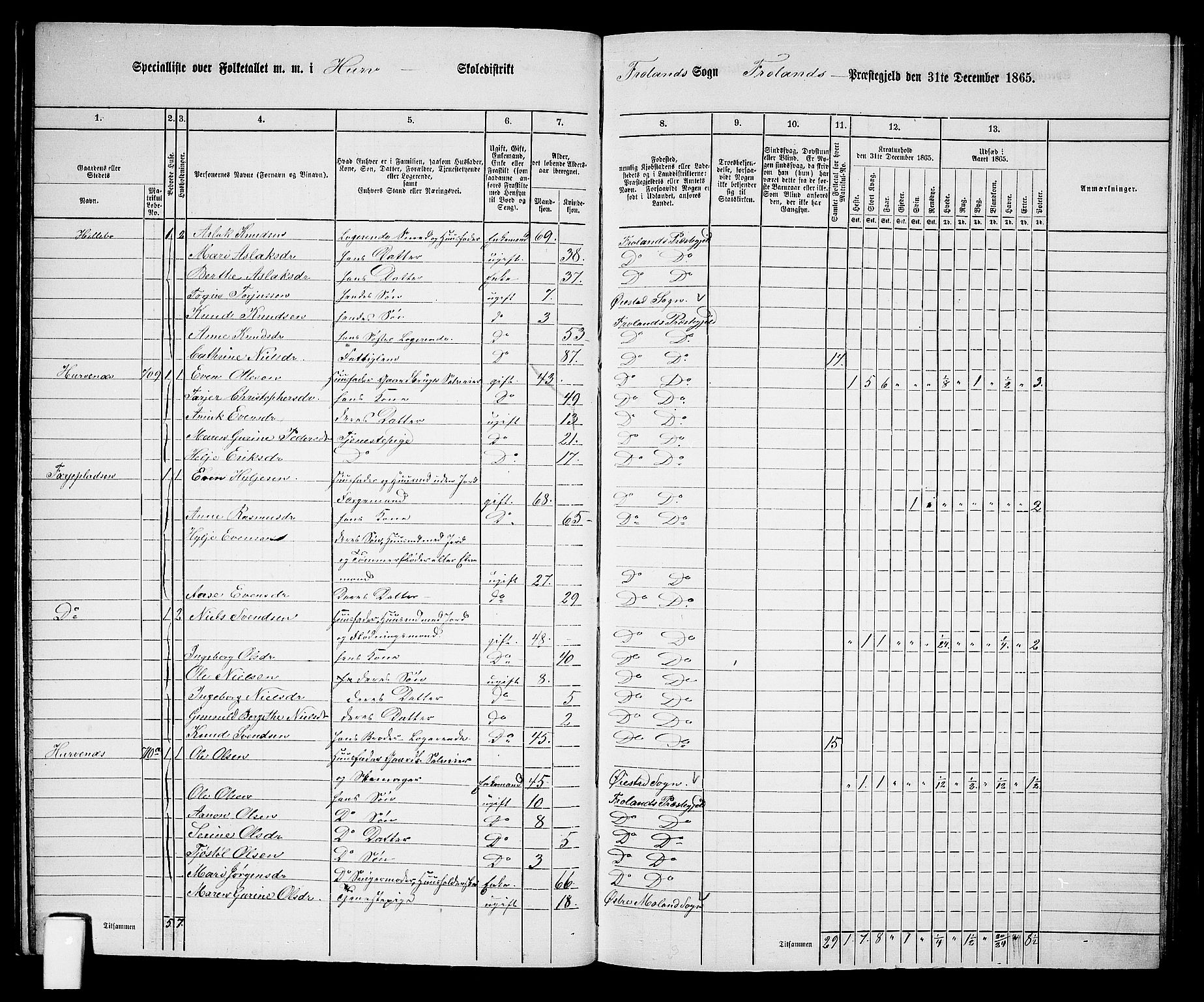 RA, 1865 census for Froland, 1865, p. 18