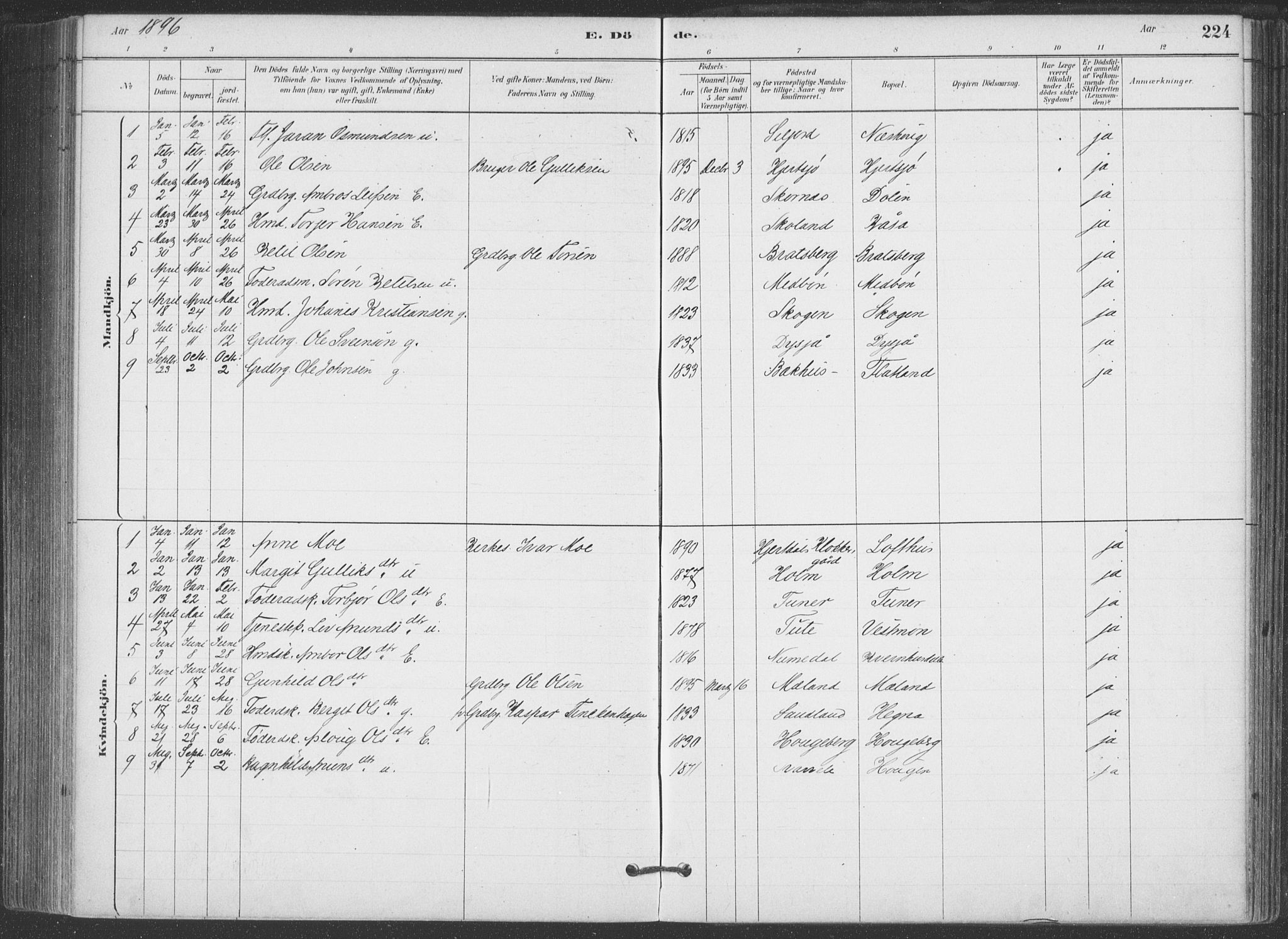 Hjartdal kirkebøker, AV/SAKO-A-270/F/Fa/L0010: Parish register (official) no. I 10, 1880-1929, p. 224