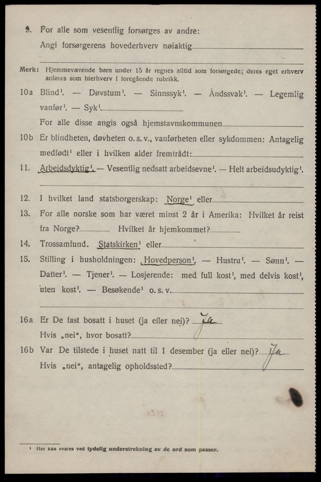 SAKO, 1920 census for Seljord, 1920, p. 1517