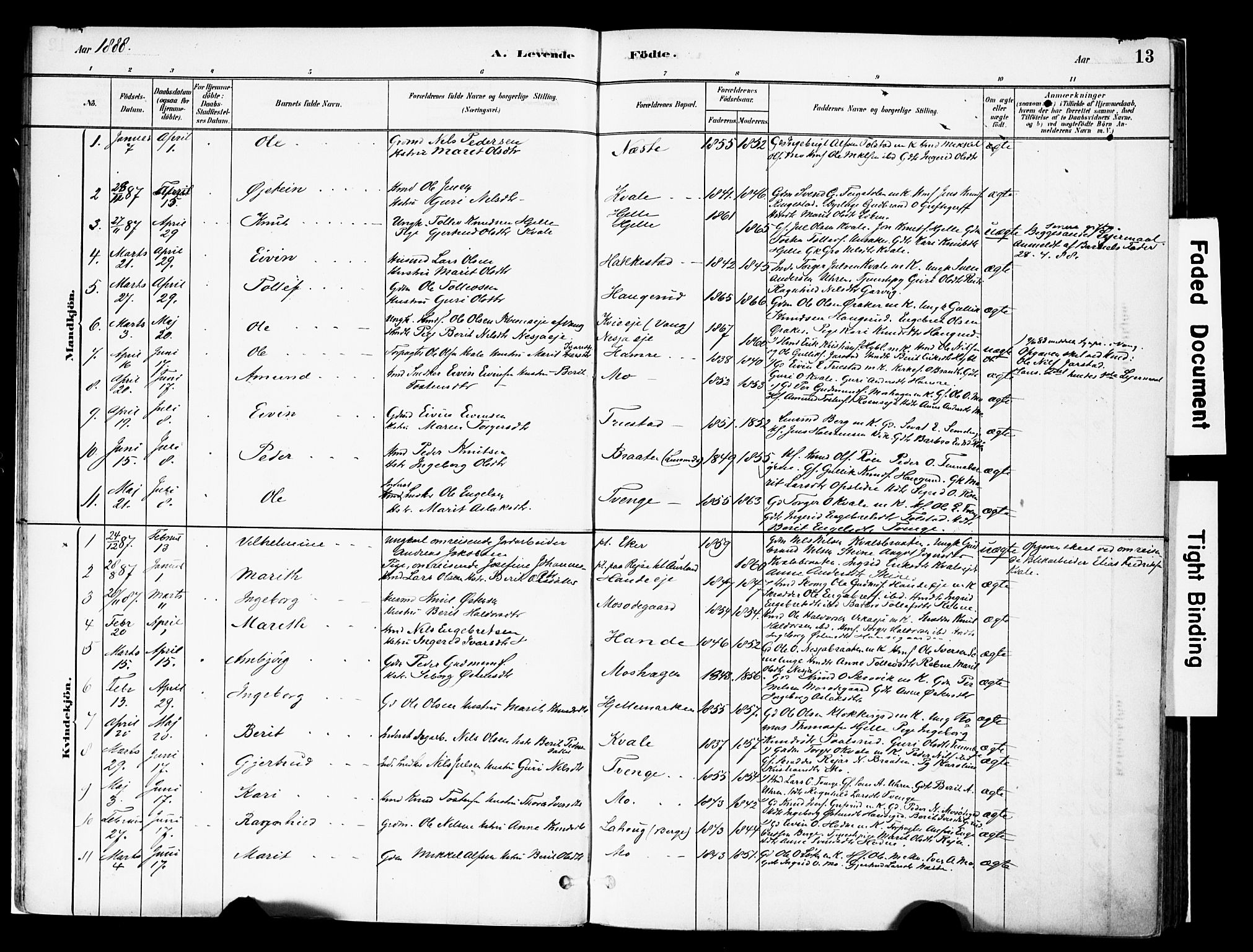 Vestre Slidre prestekontor, AV/SAH-PREST-136/H/Ha/Haa/L0004: Parish register (official) no. 4, 1881-1911, p. 13