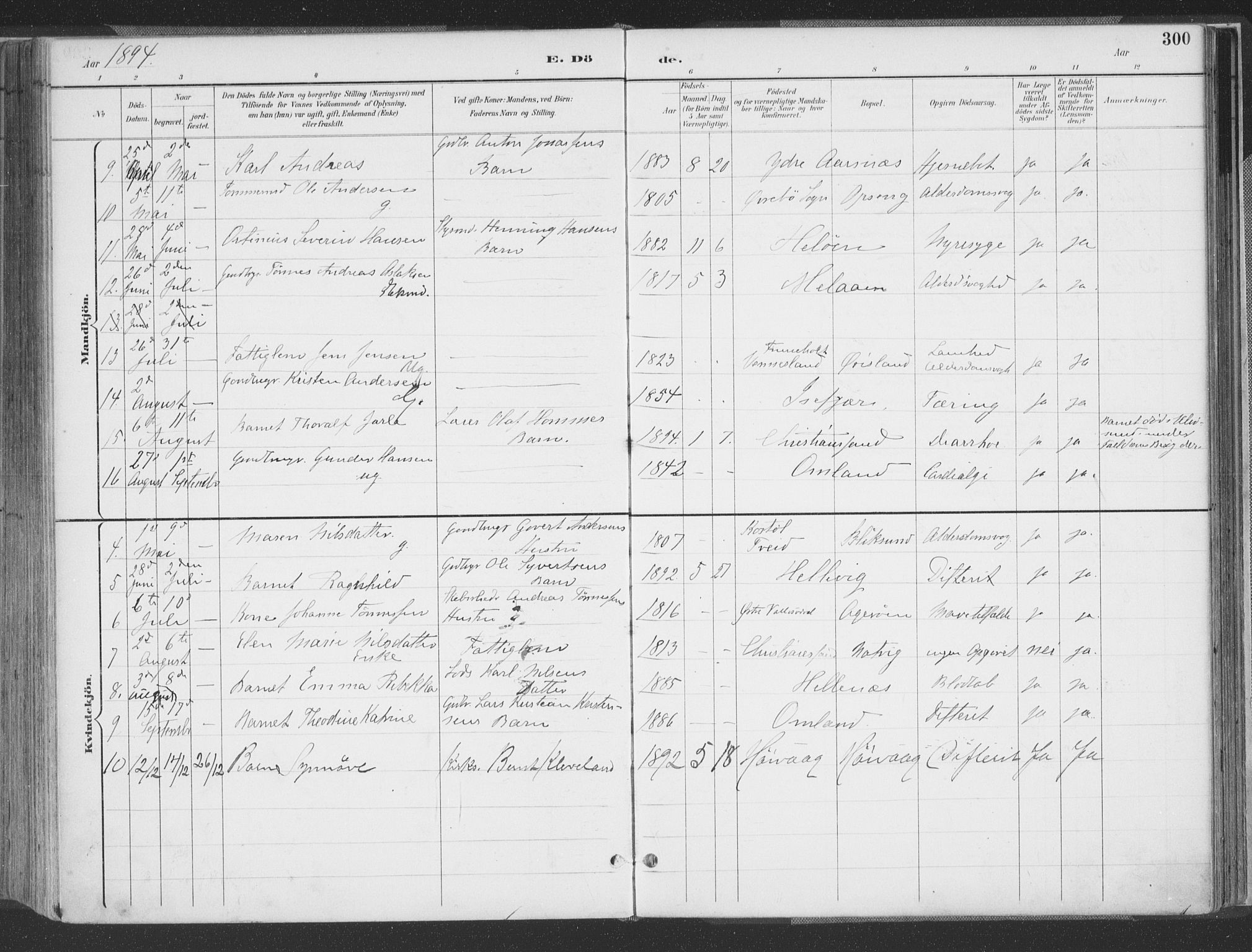 Høvåg sokneprestkontor, AV/SAK-1111-0025/F/Fa/L0006: Parish register (official) no. A 6, 1894-1923, p. 300