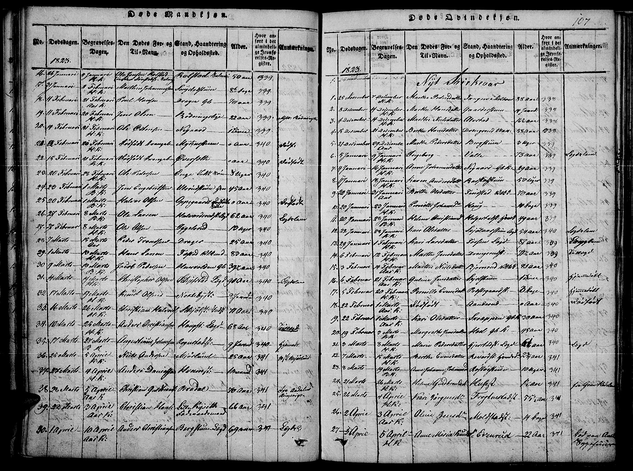 Toten prestekontor, SAH/PREST-102/H/Ha/Haa/L0010: Parish register (official) no. 10, 1820-1828, p. 107