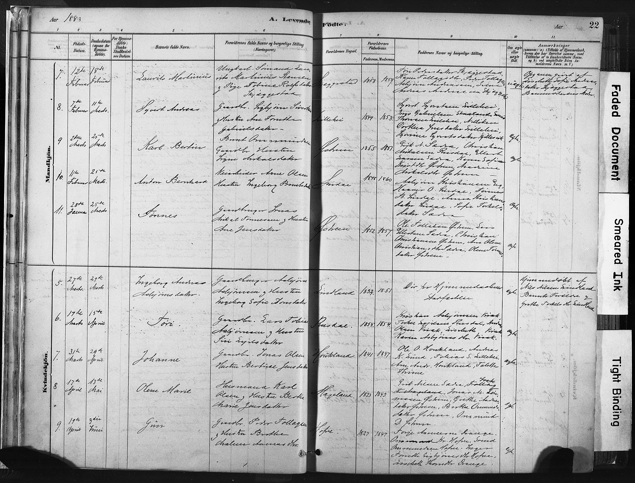 Lund sokneprestkontor, SAST/A-101809/S06/L0011: Parish register (official) no. A 10, 1877-1904, p. 22